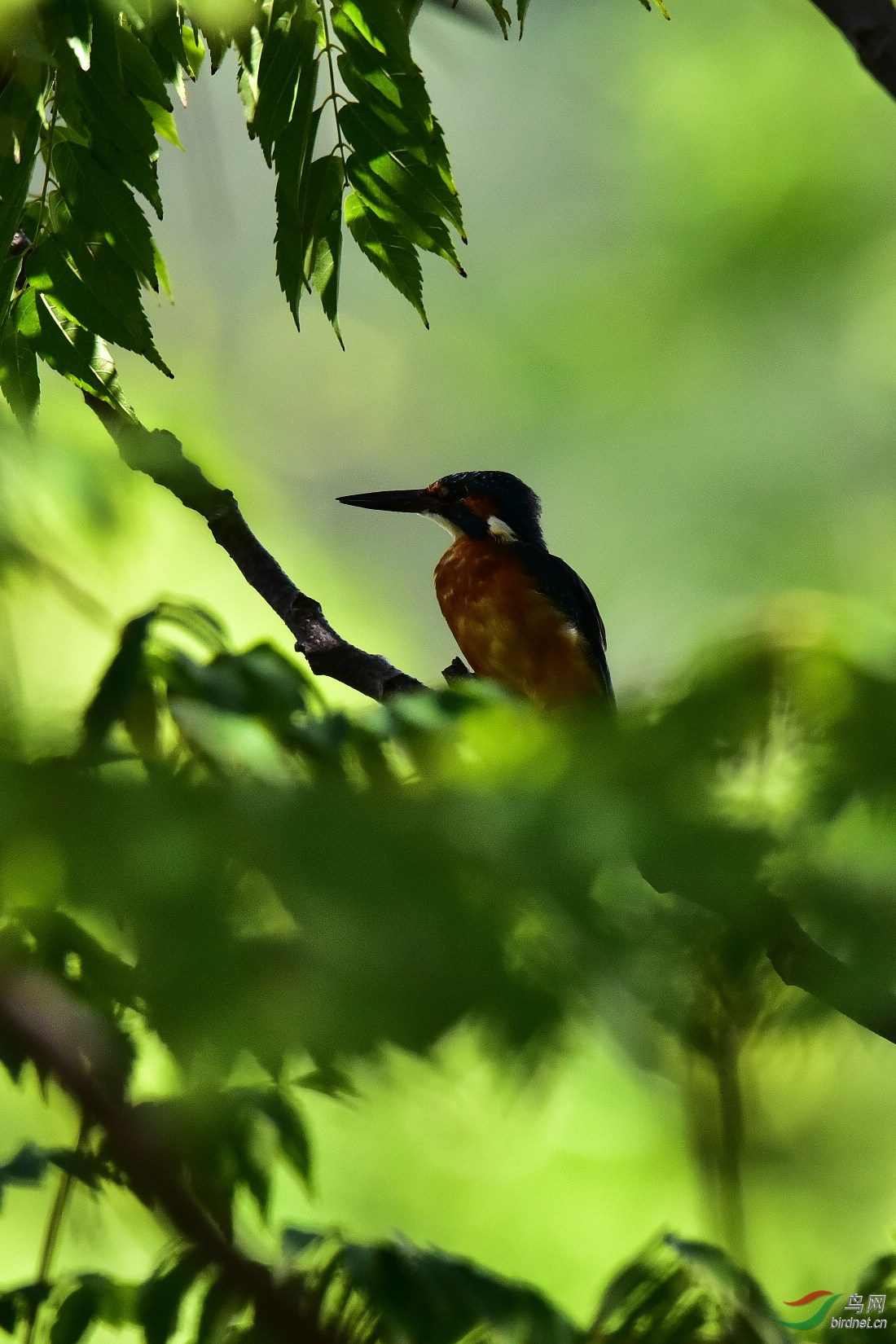DSC_0791.JPG
