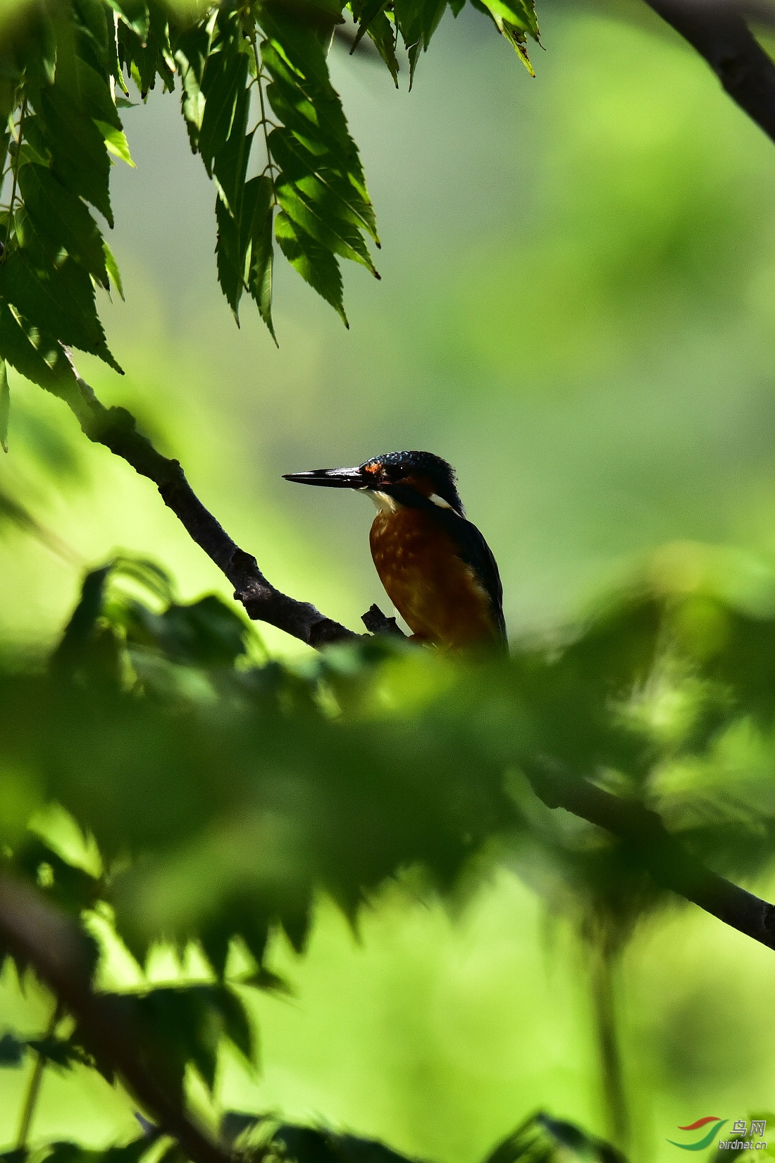 DSC_0793.JPG