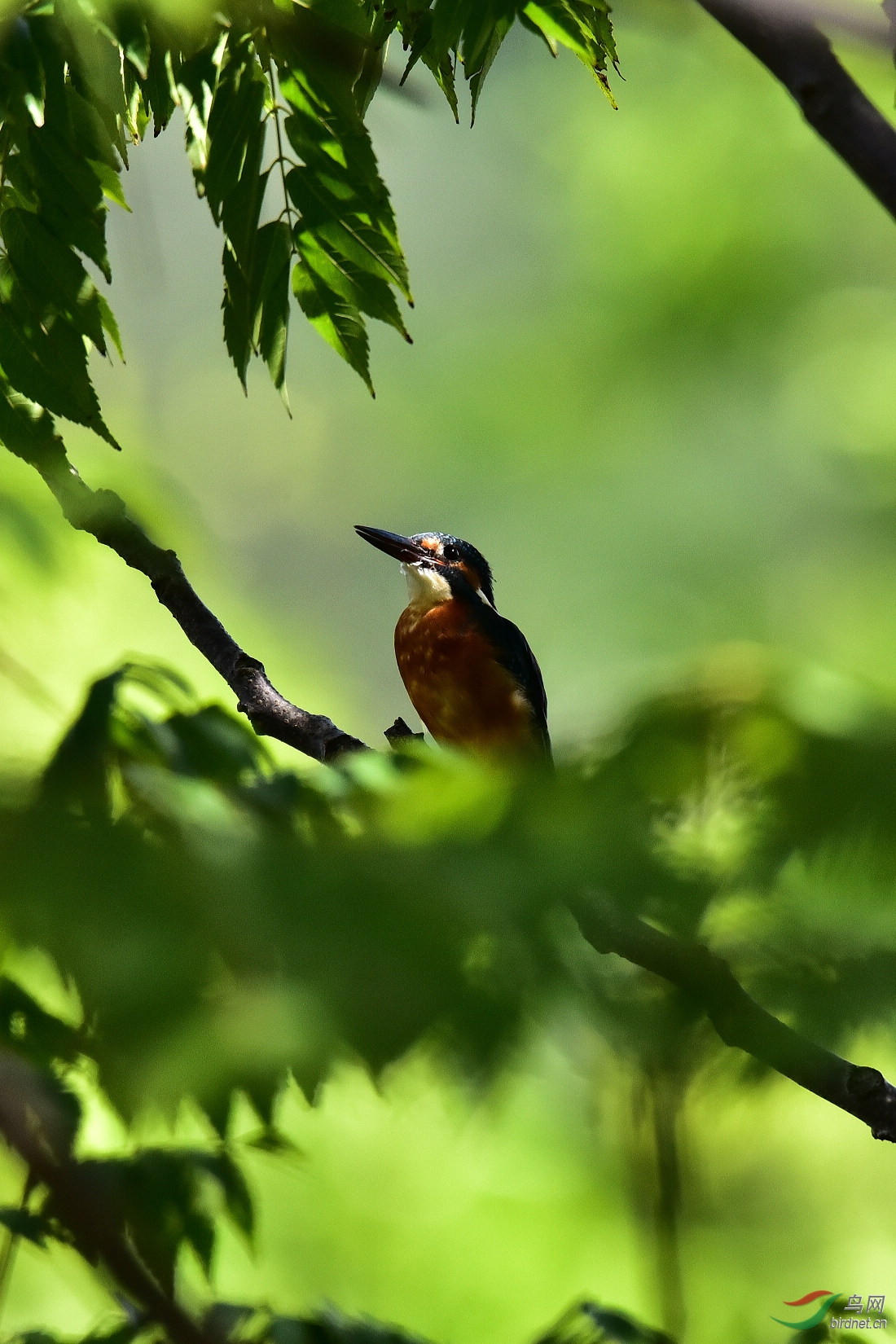 DSC_0794.JPG