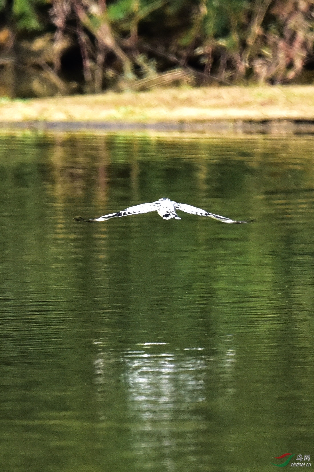 DSC_0797.JPG