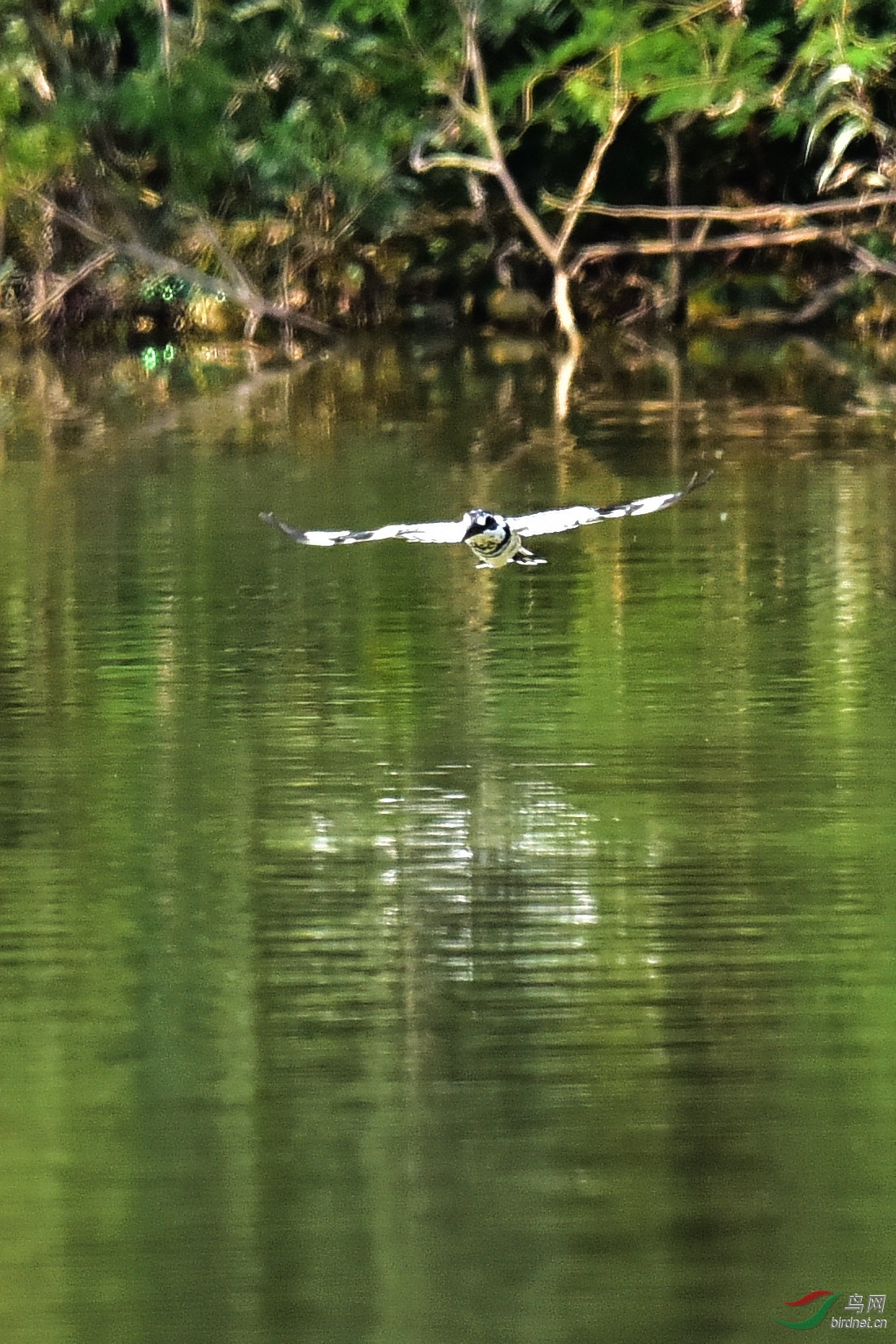 DSC_0815.JPG