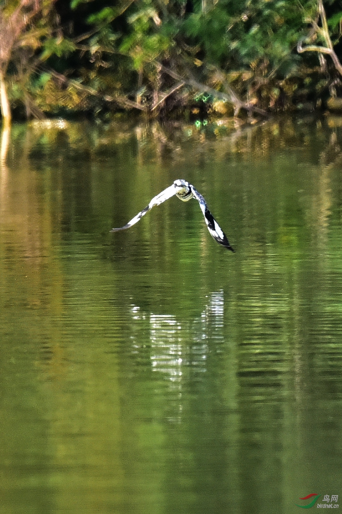 DSC_0816.JPG