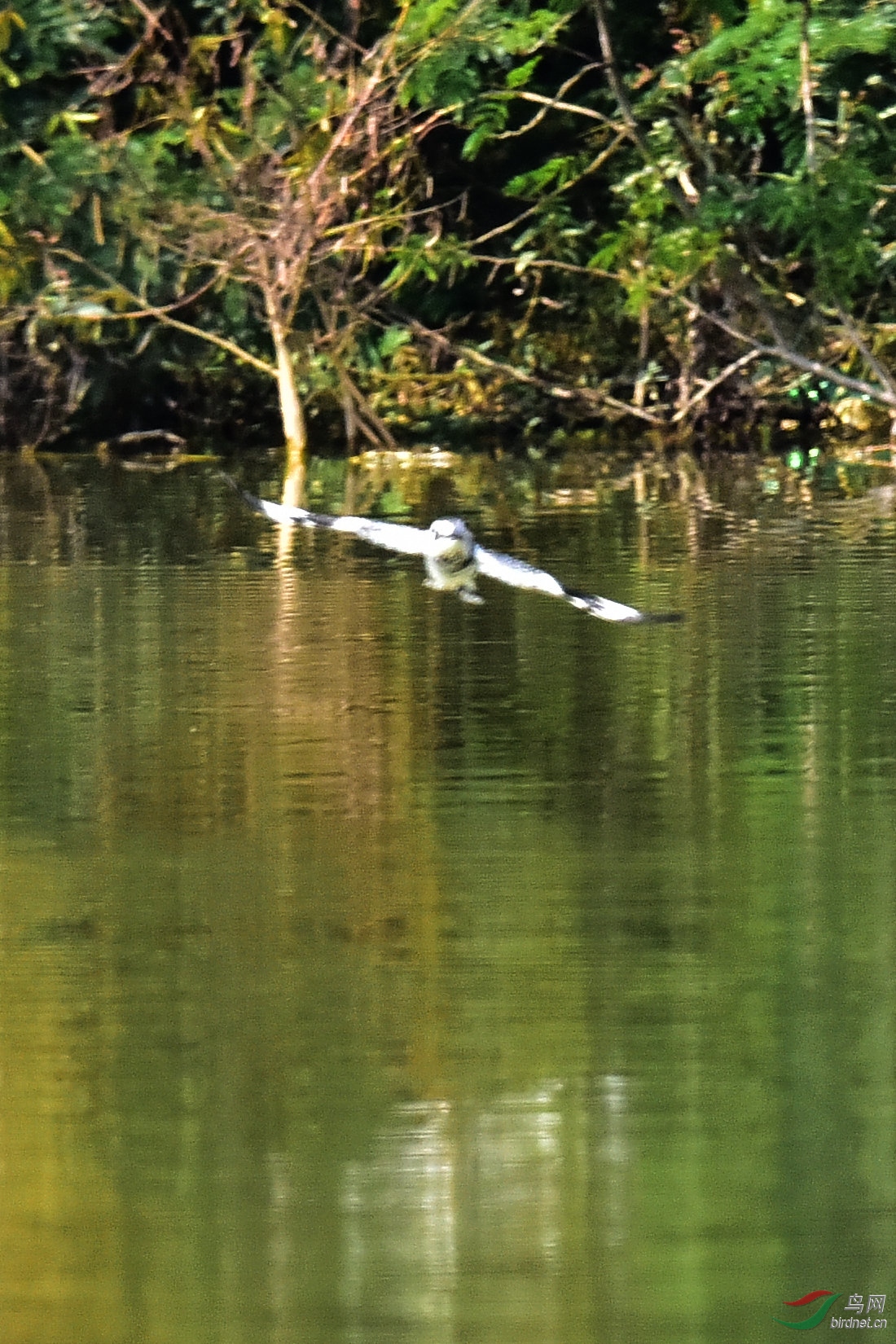 DSC_0817.JPG