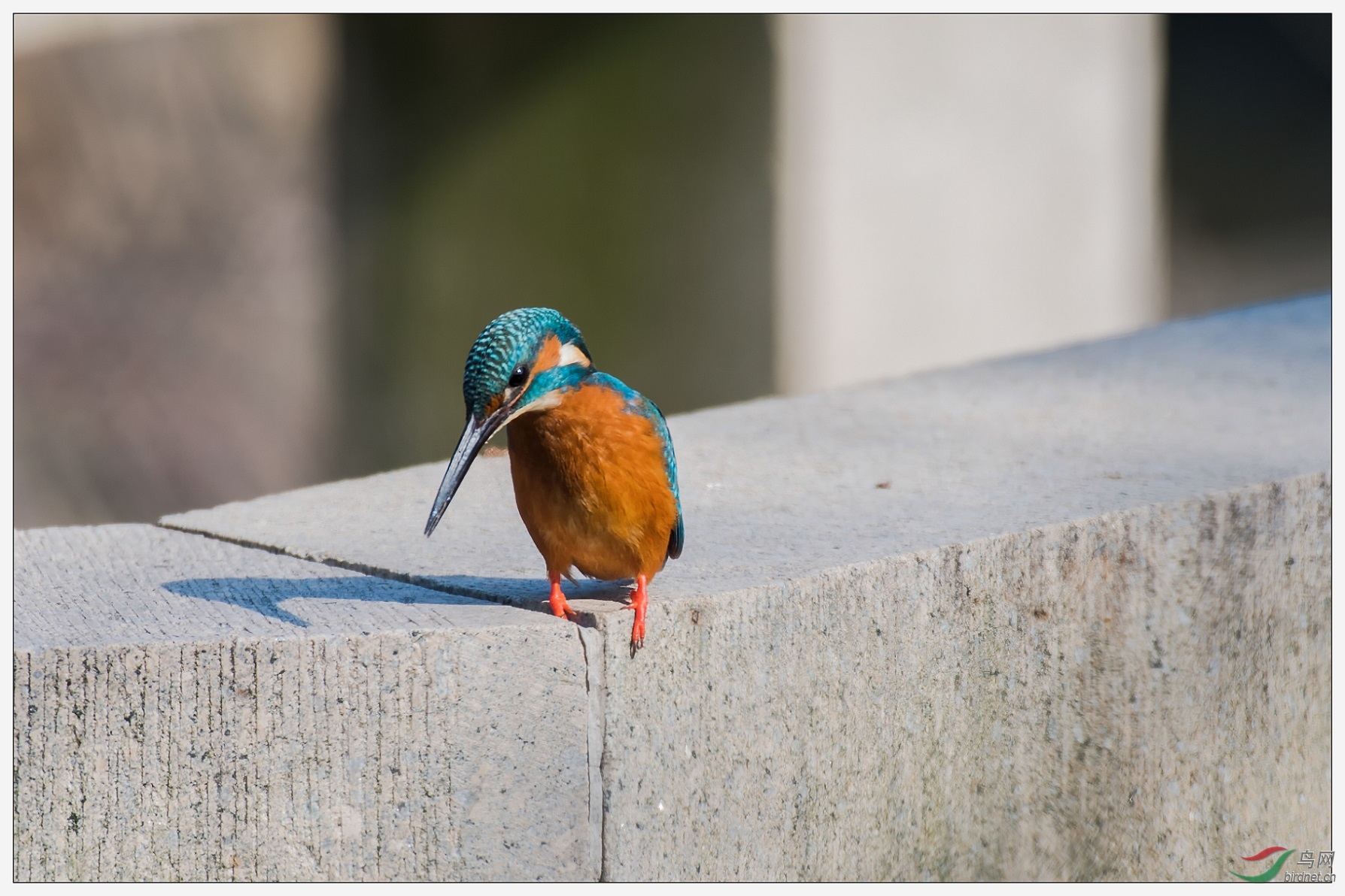 8�״������