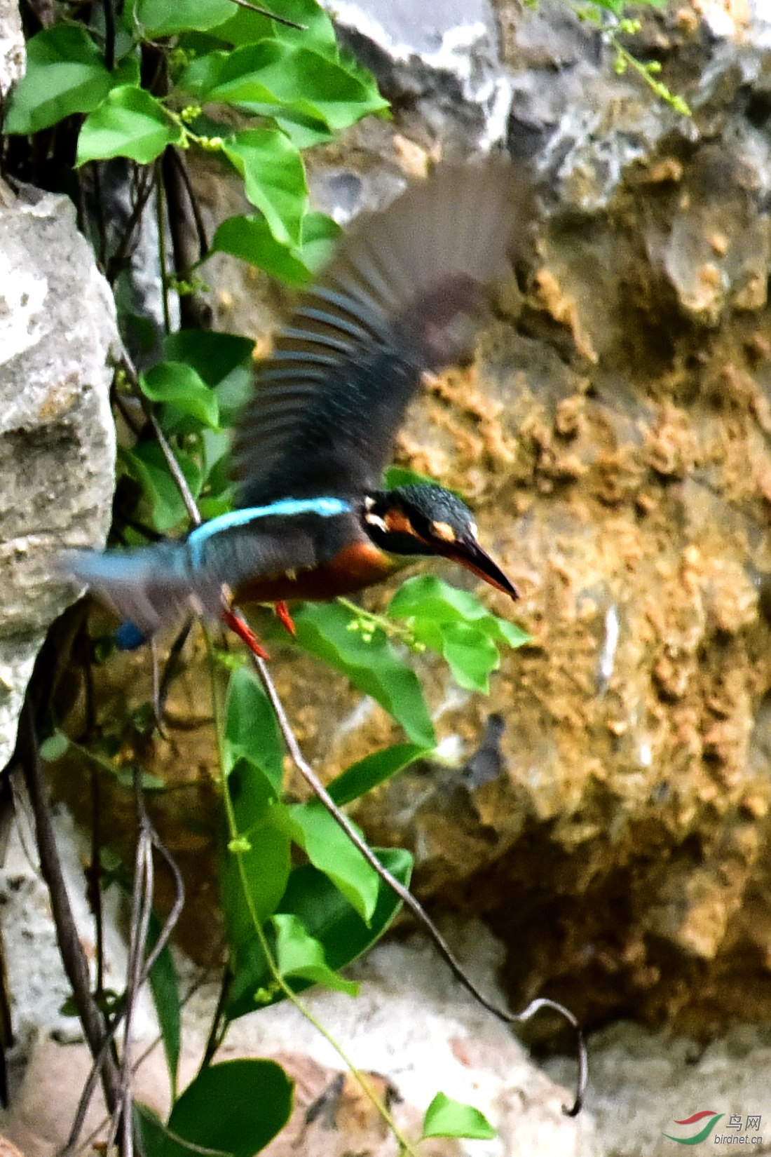 DSC_0826.JPG