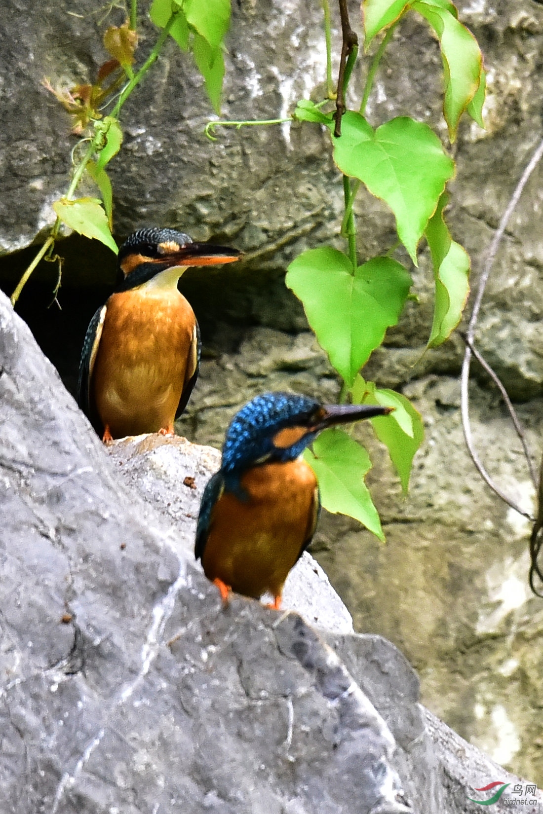DSC_0827.JPG