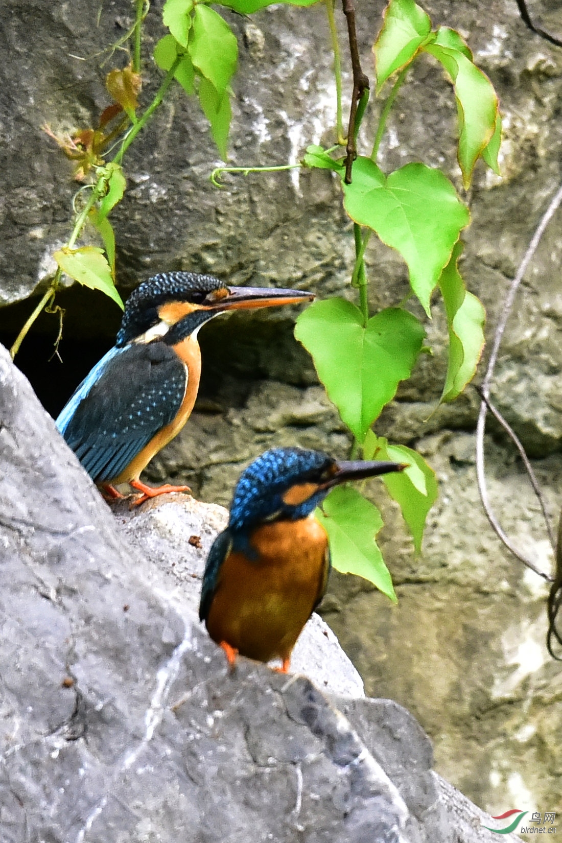 DSC_0828.JPG