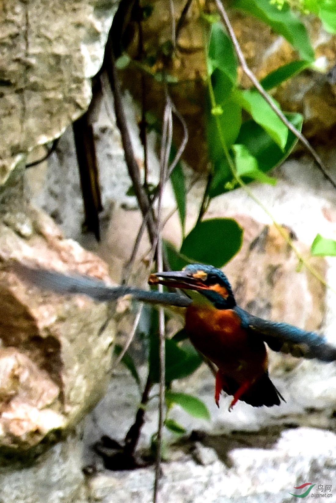 DSC_0832.JPG
