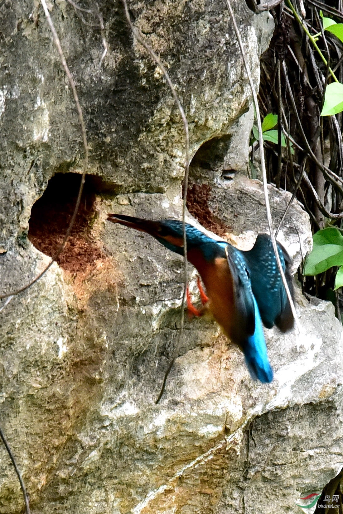 DSC_0841.JPG