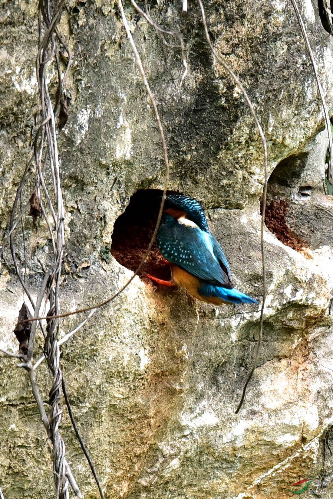 DSC_0842.JPG