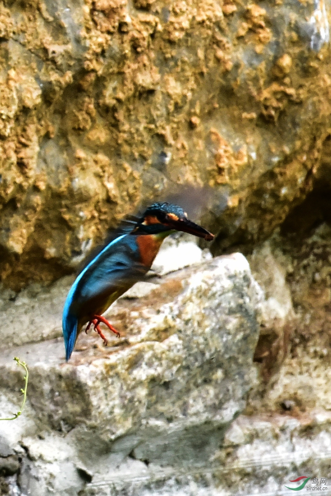 DSC_0843.JPG