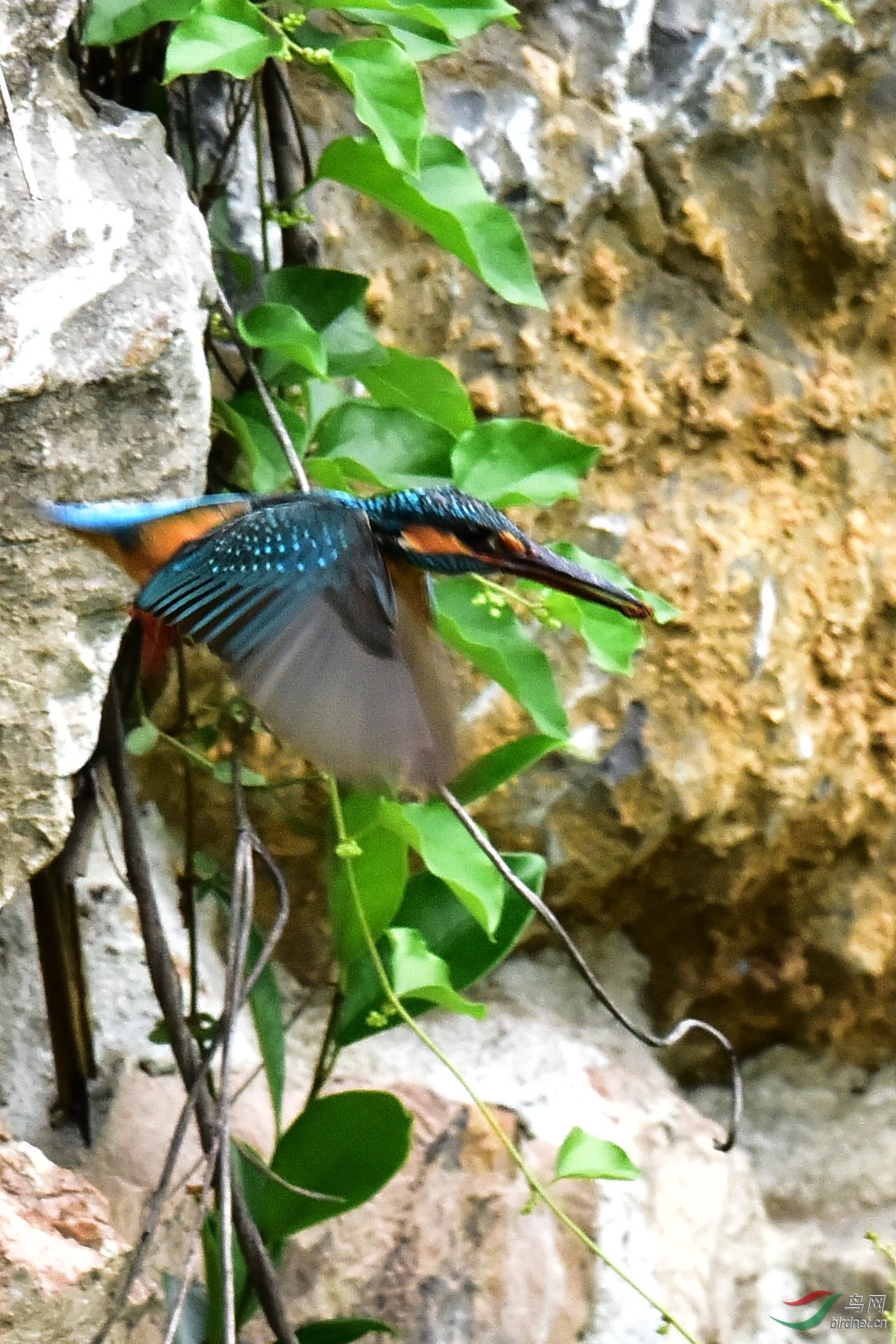 DSC_0845.JPG
