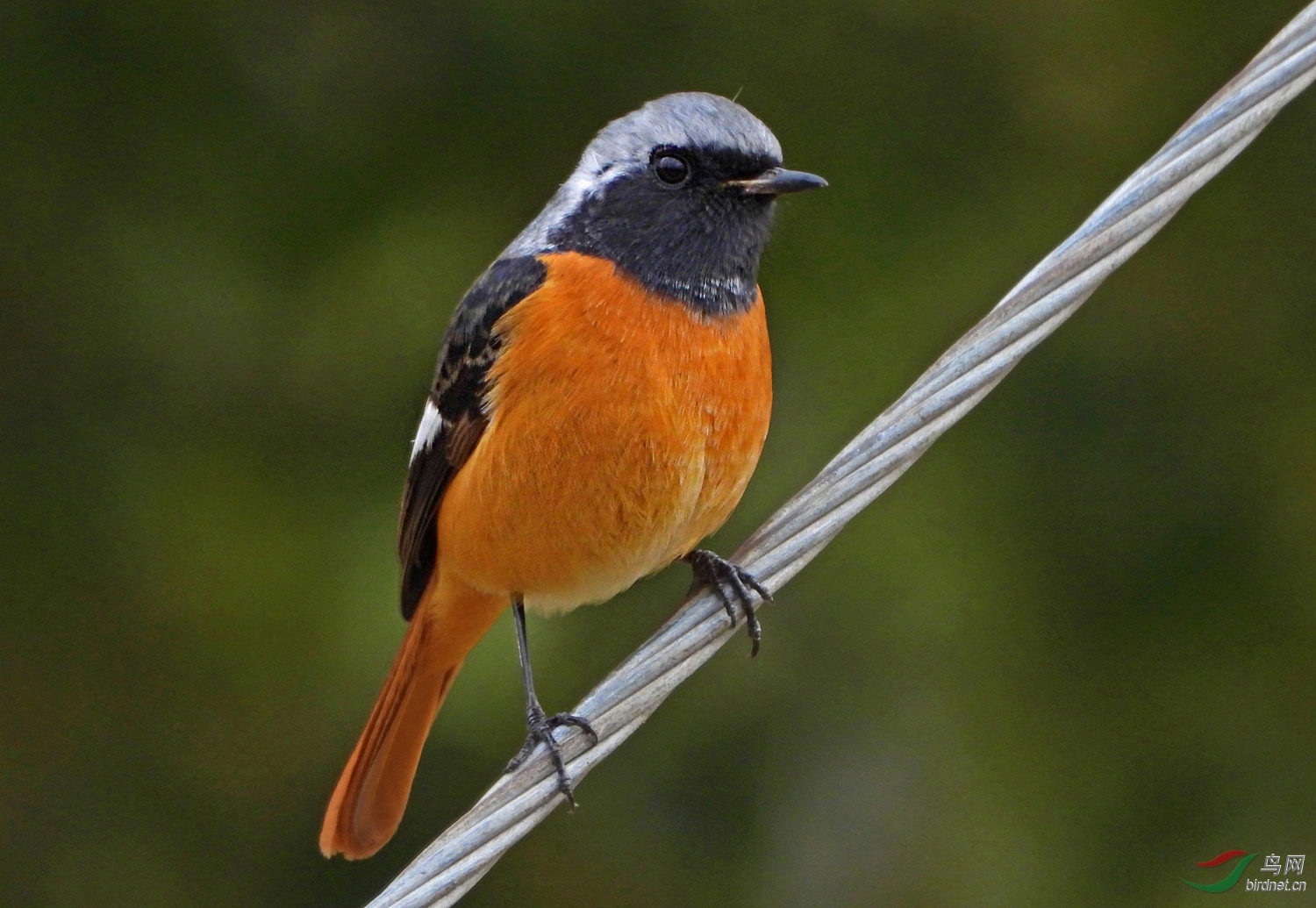 DSCN6883 ����2.jpg