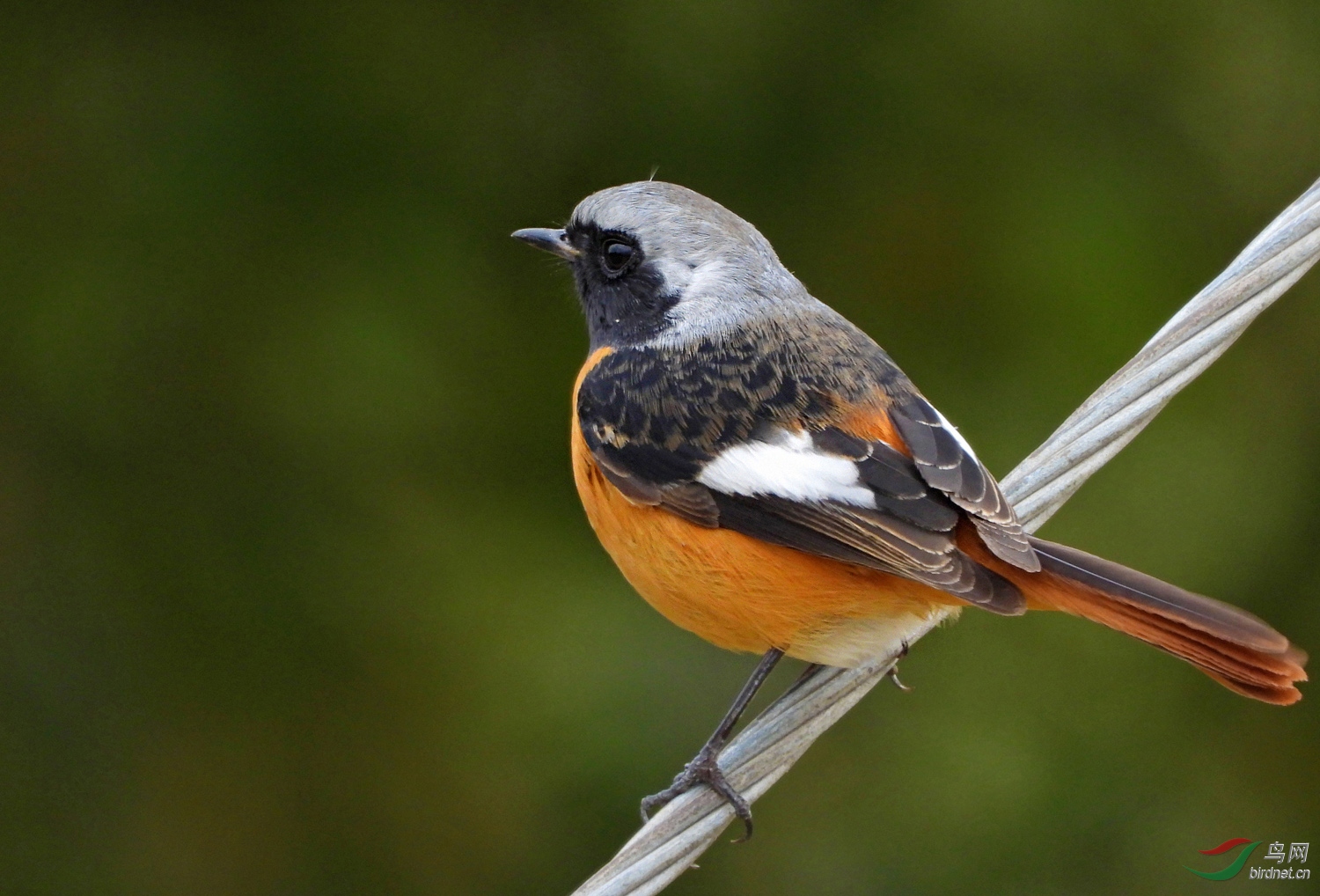 DSCN6887 ����2.jpg