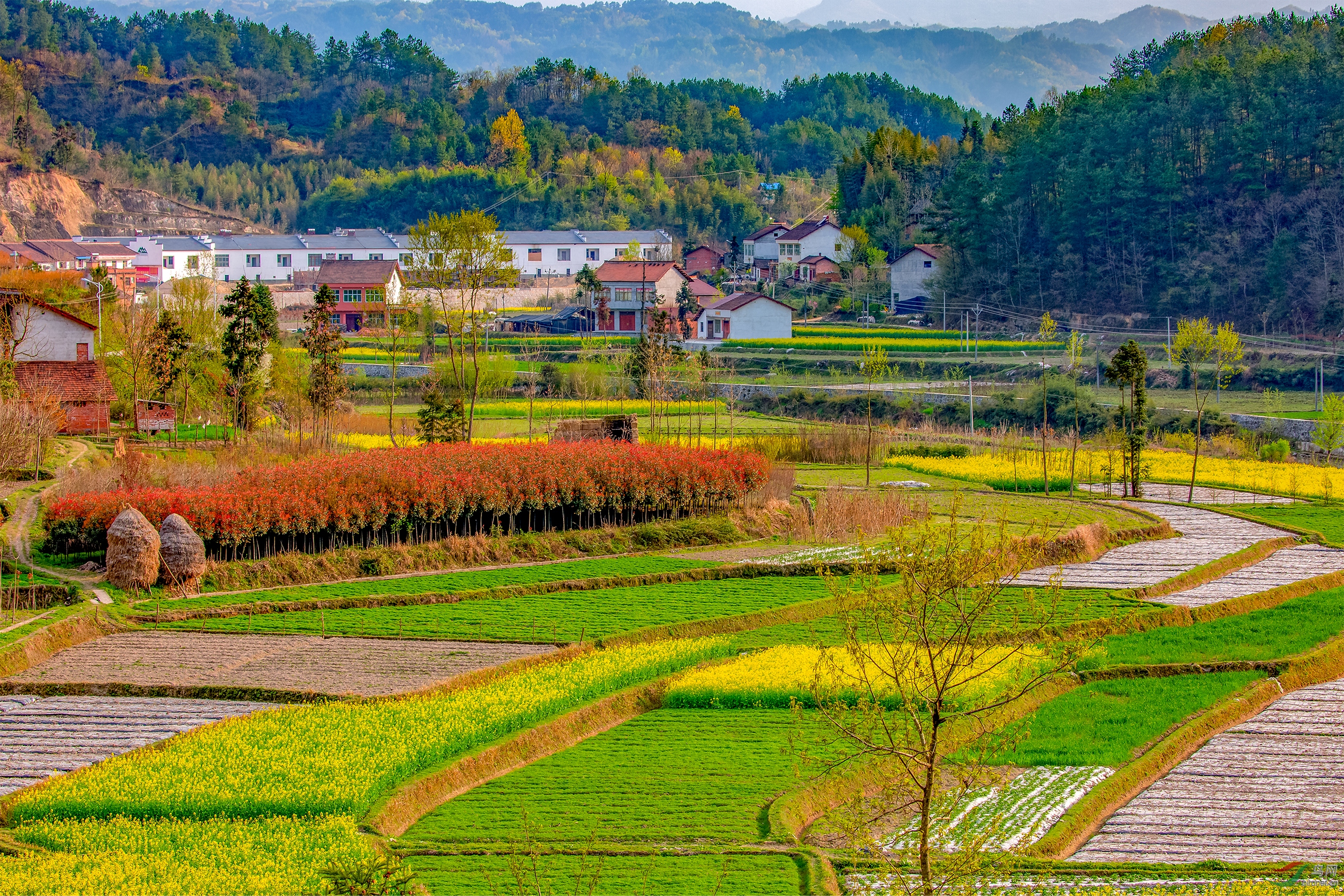 社会主义新山村