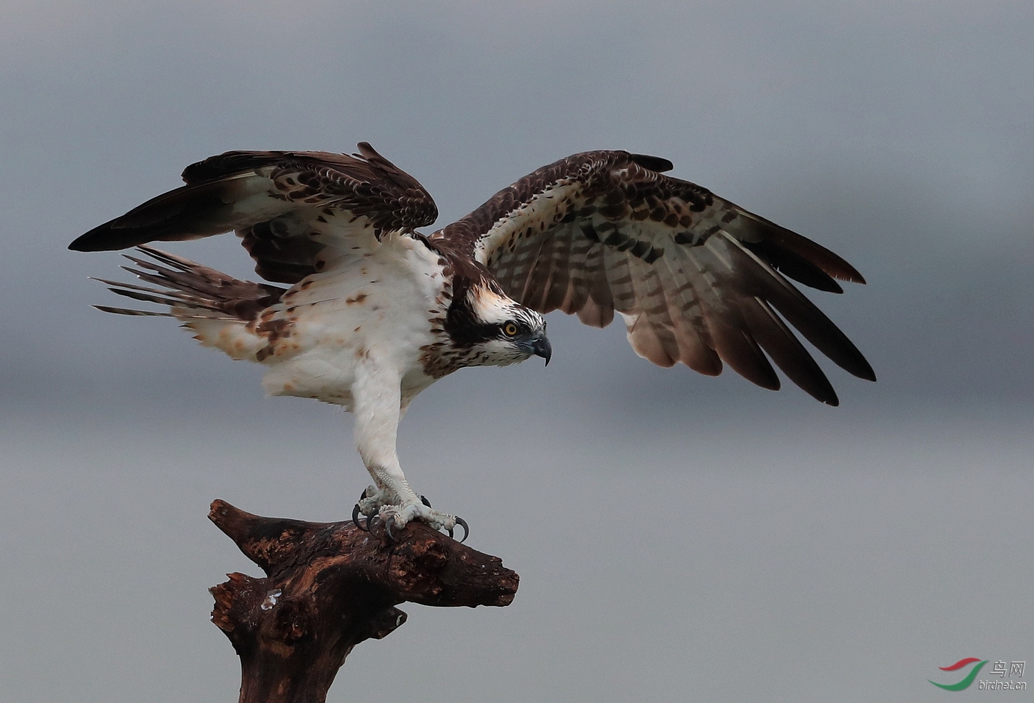 AI0I8612 - ����.JPG