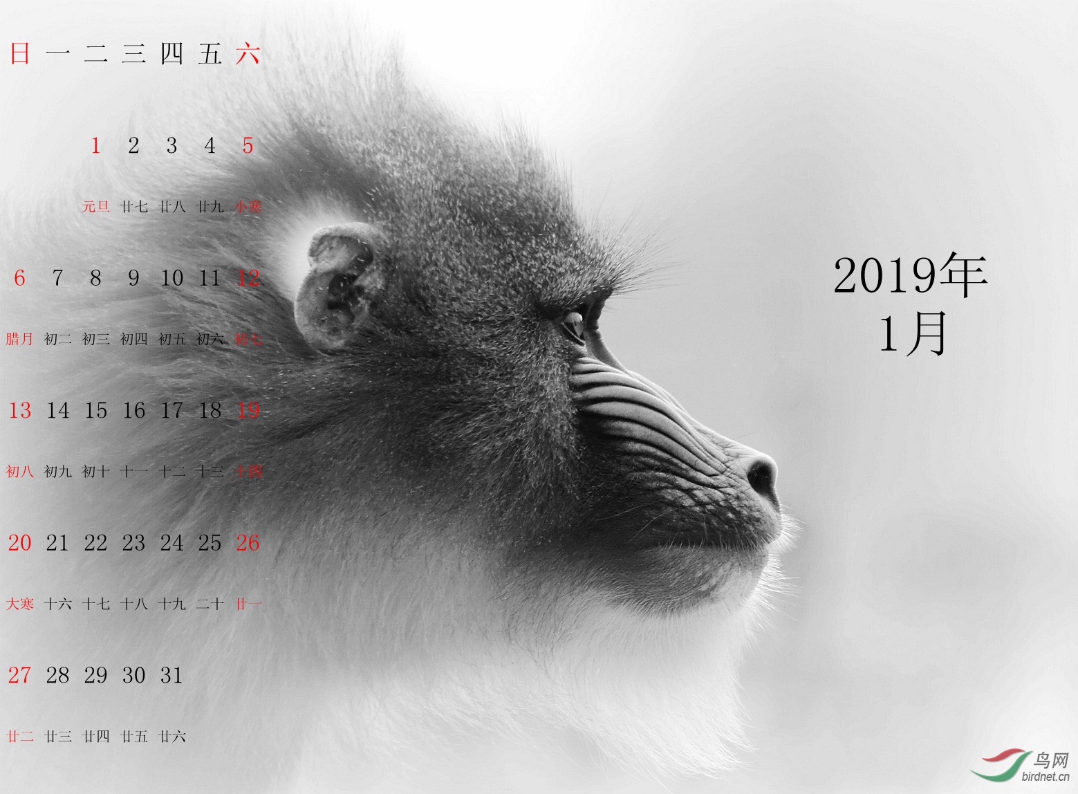 7M7A0661 ����.jpg