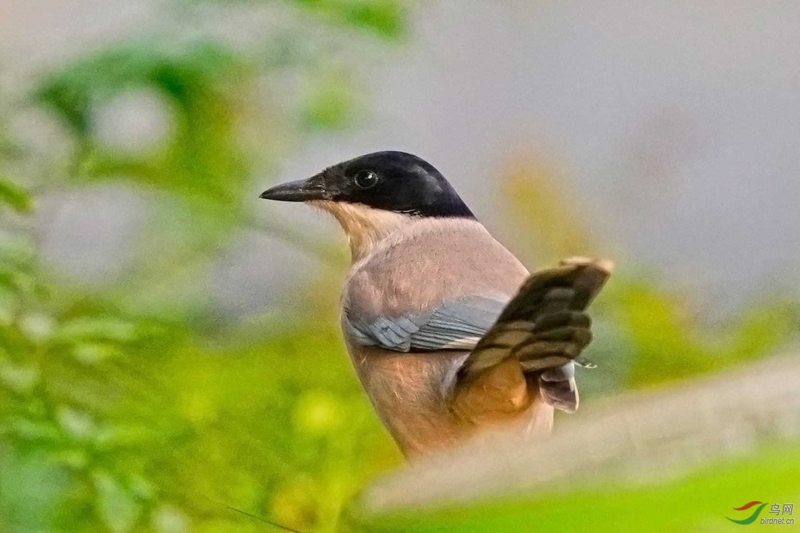 04_A9_00936-2- (2).jpg