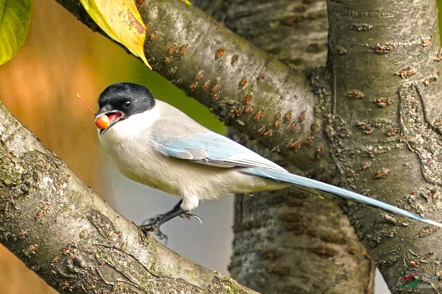 02_A9_6080-2-HDR.jpg