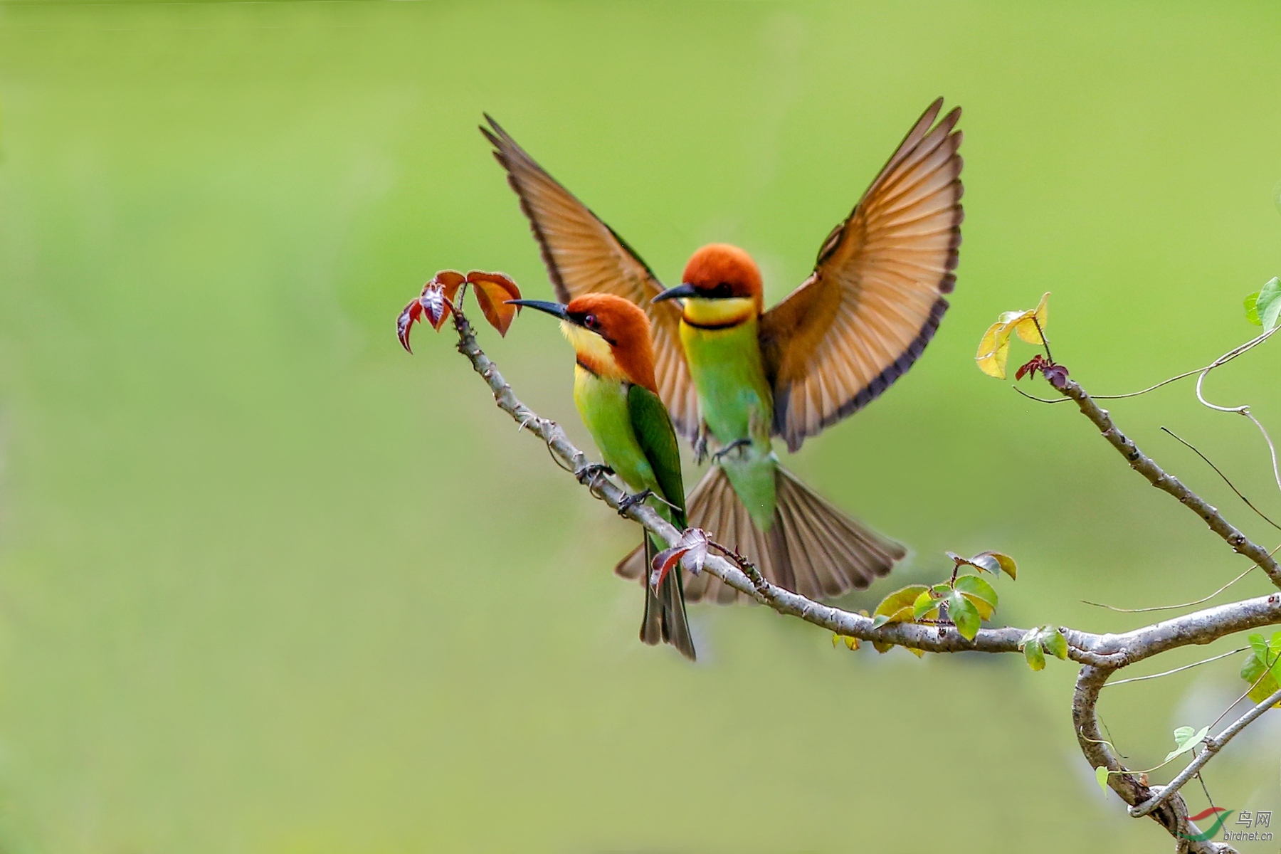 916A0127  01_����.jpg