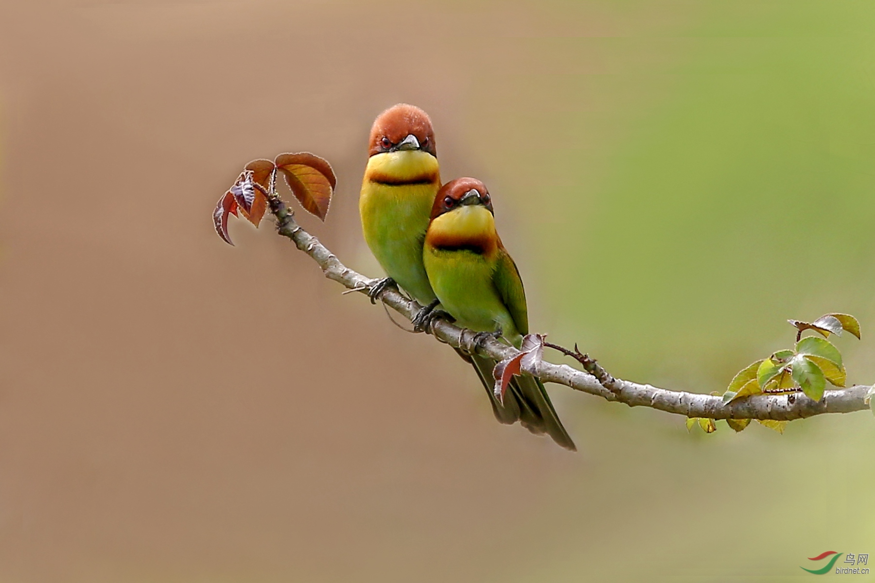 916A0010  01_����.jpg