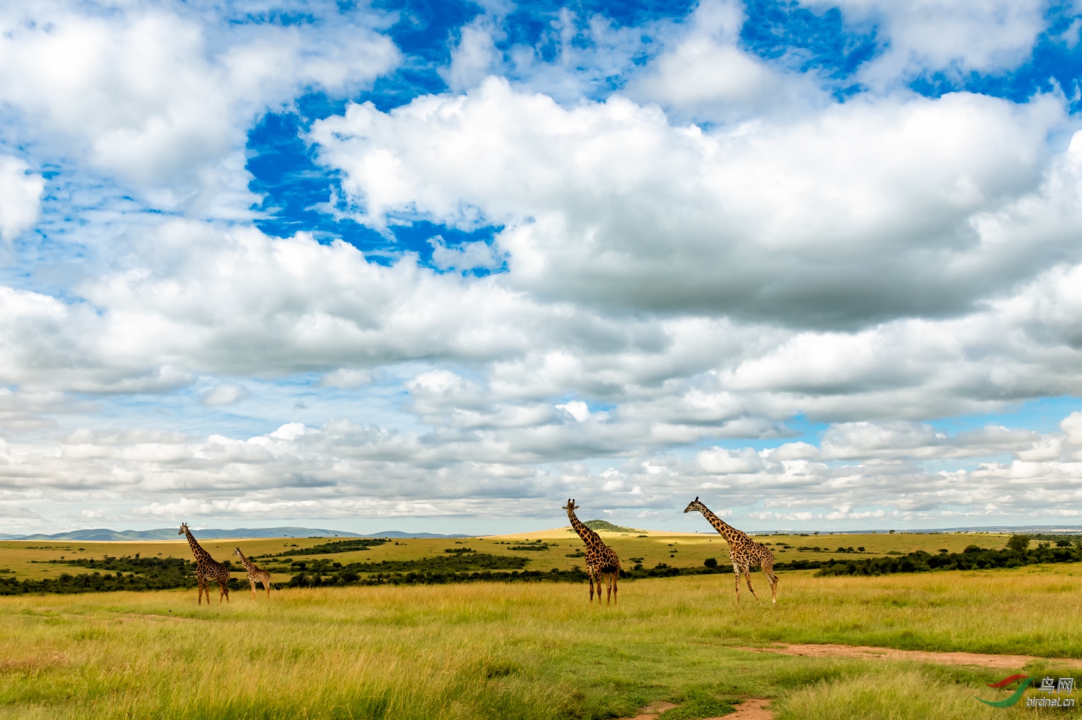 广阔天地(祝贺荣获首页精华)