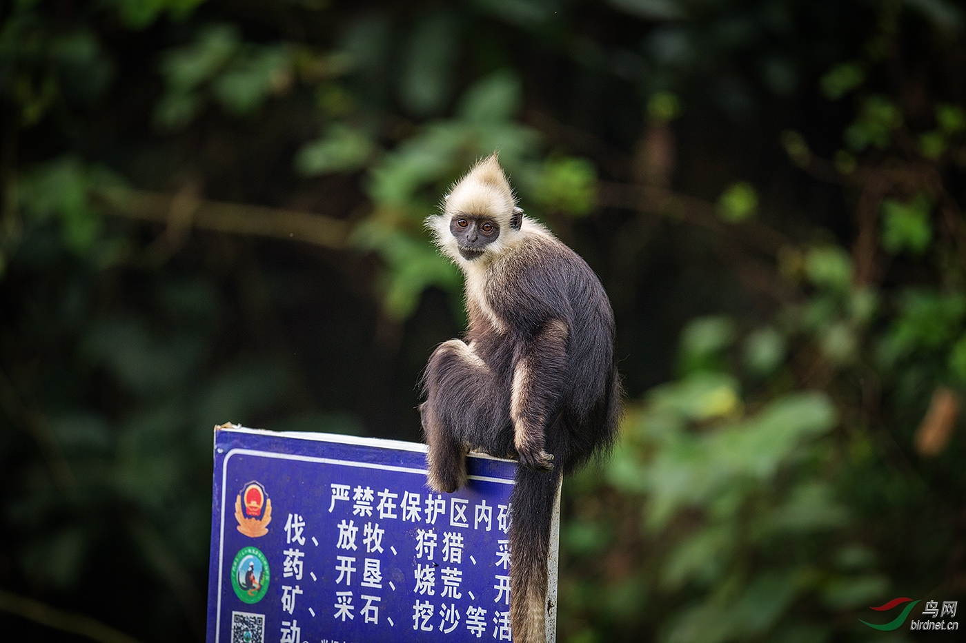 DSC_4042-500K.jpg