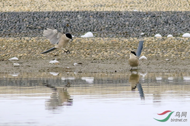 H3A7605-.jpg