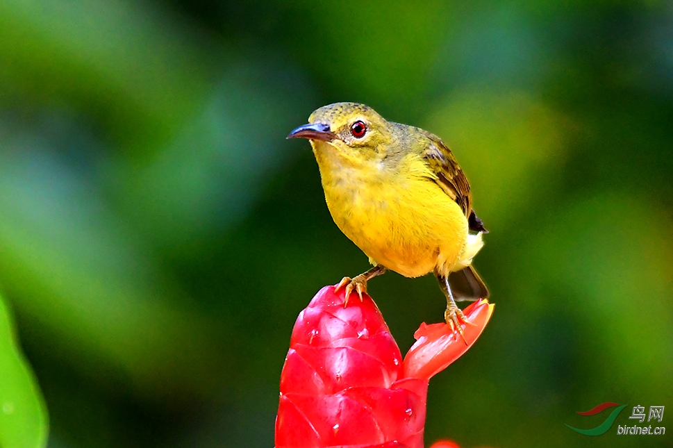 8.�Ƹ�������(����)2837AM.jpg