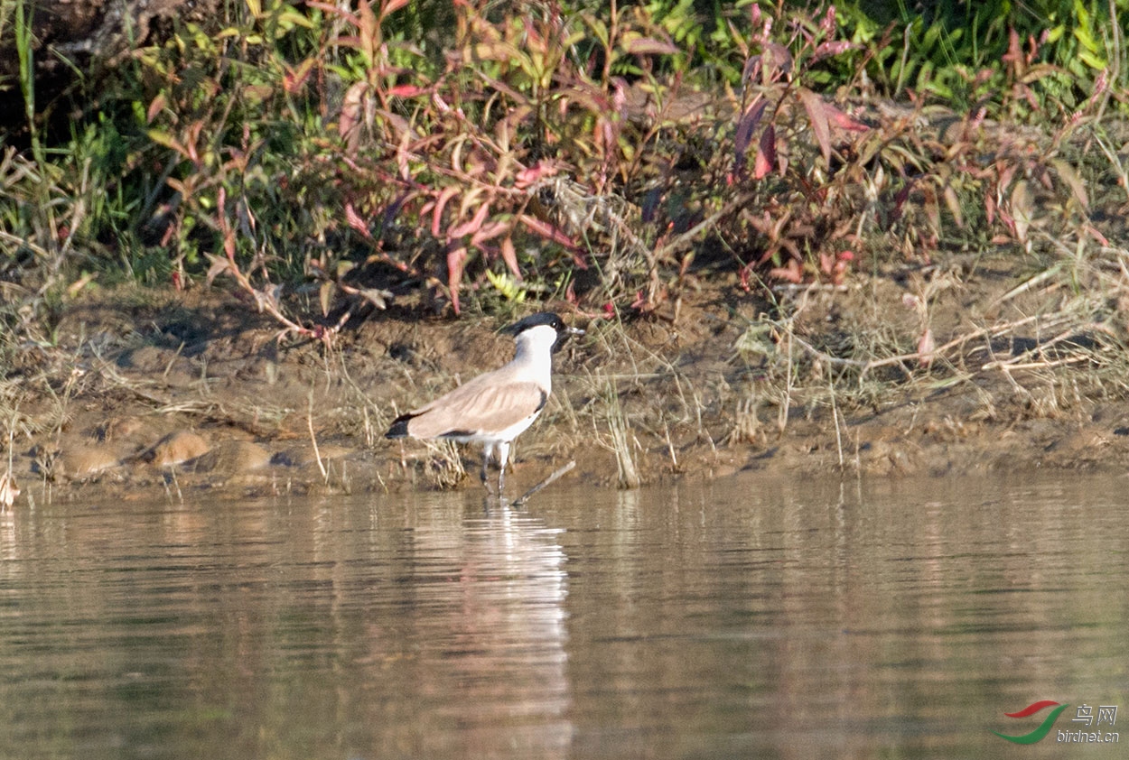 DSC_5591.jpg