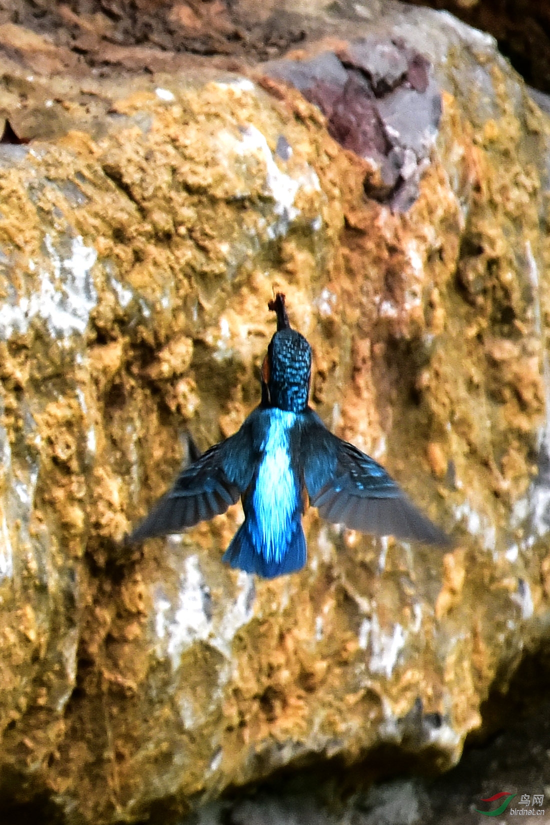 DSC_0850.JPG