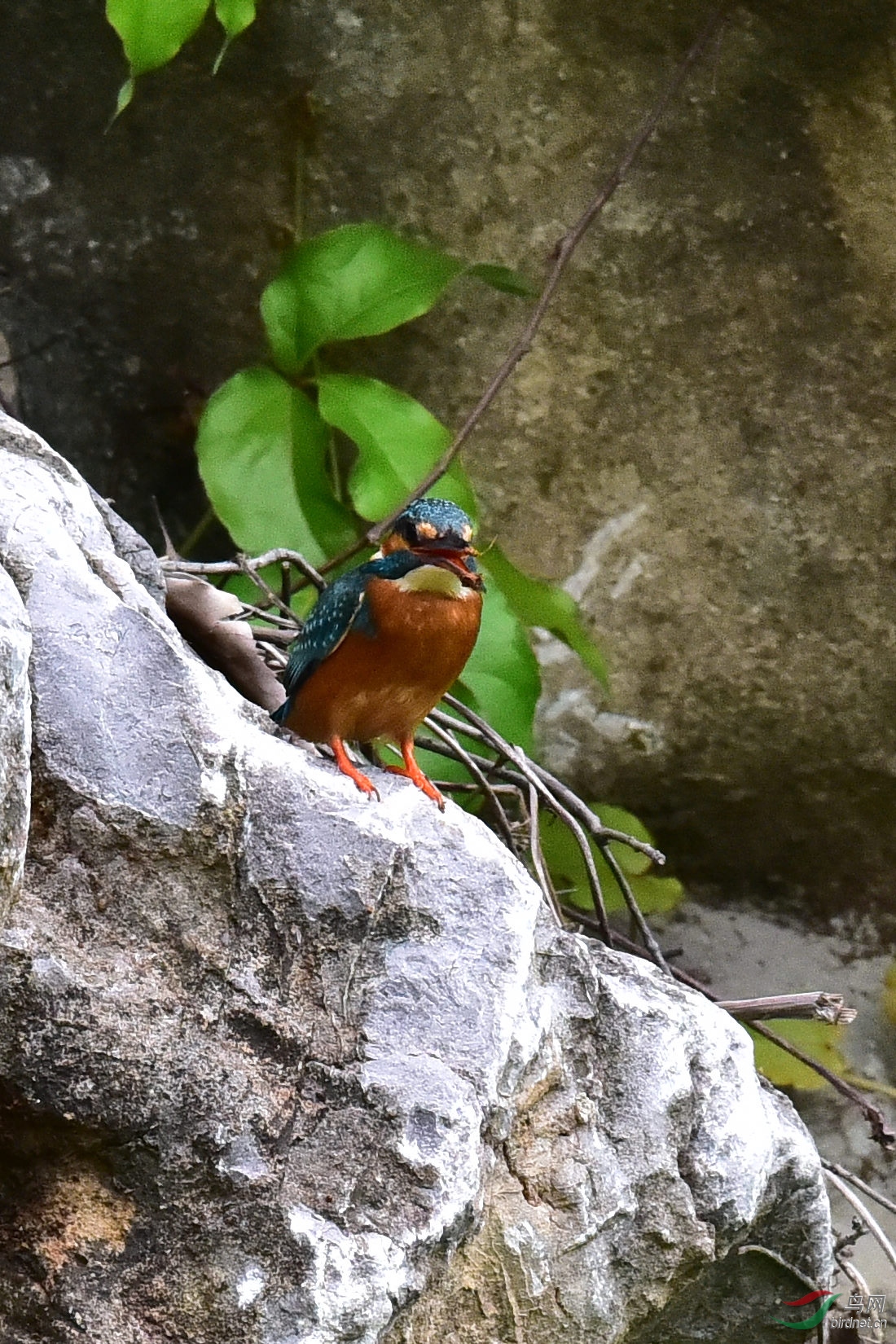 DSC_0853.JPG