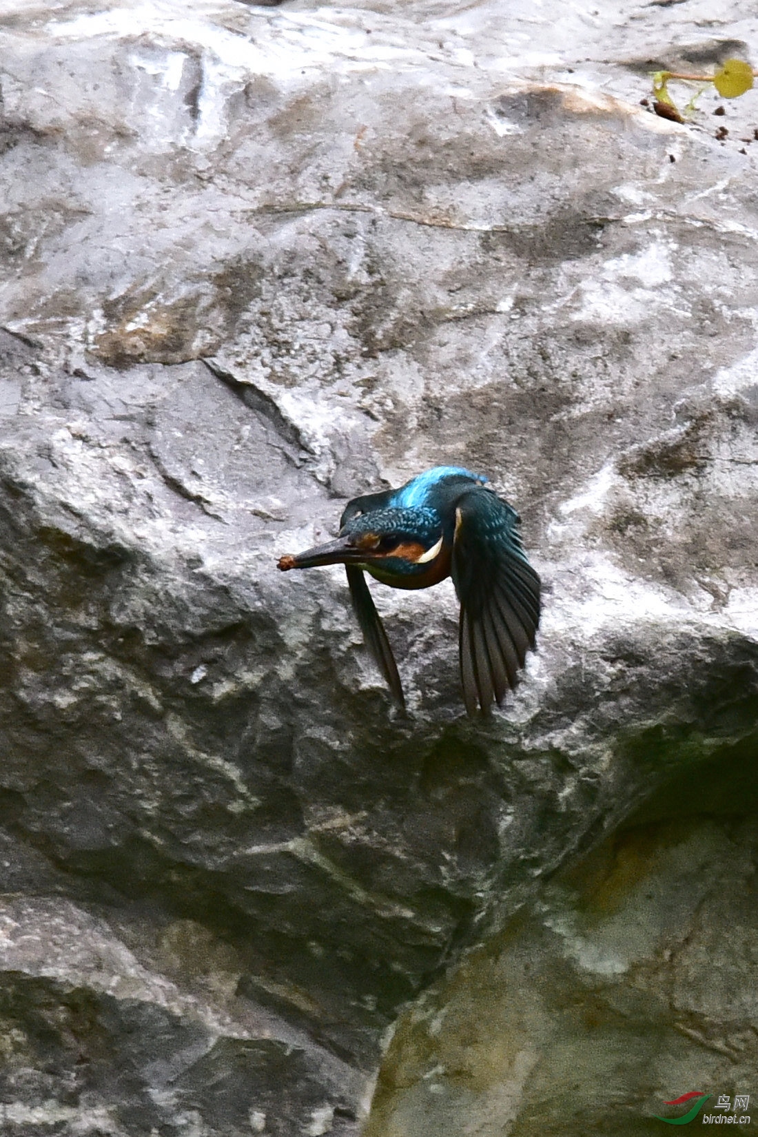 DSC_0856.JPG
