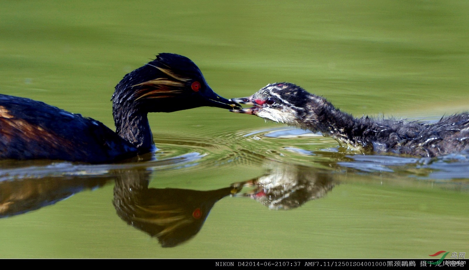 �� �ھ� (8).jpg