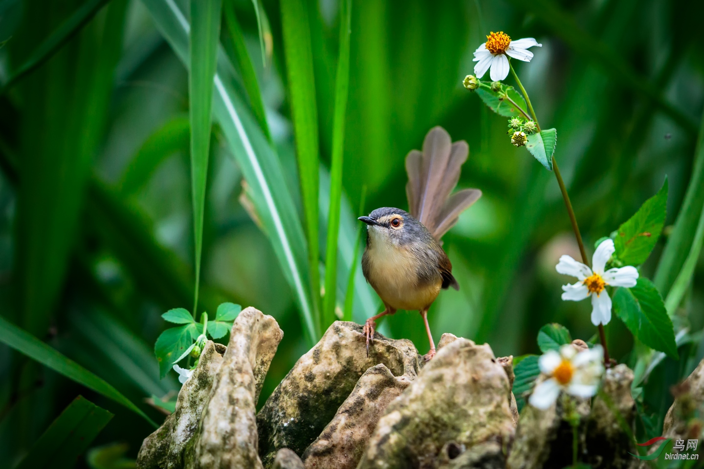 EOS 7D Mark II_20181117__Z4A7177-PS.jpg