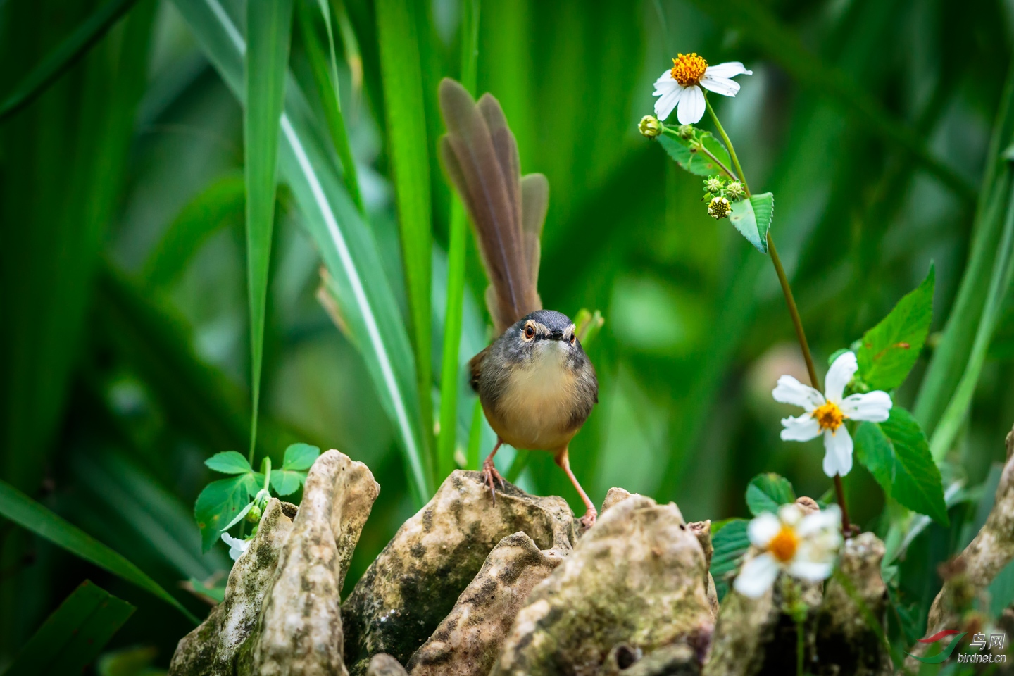 EOS 7D Mark II_20181117__Z4A7184-PS.jpg