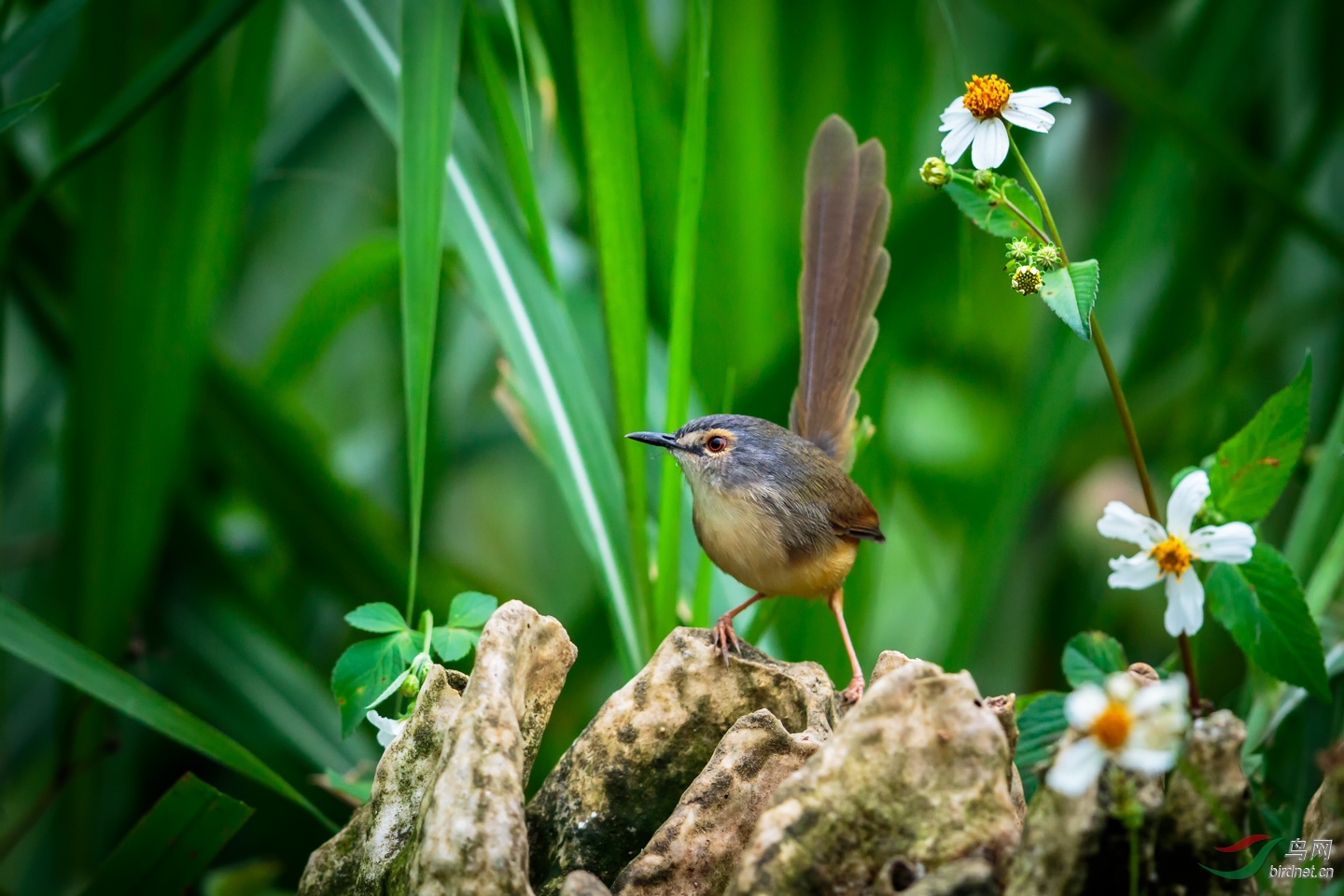 EOS 7D Mark II_20181117__Z4A7182-PS.jpg