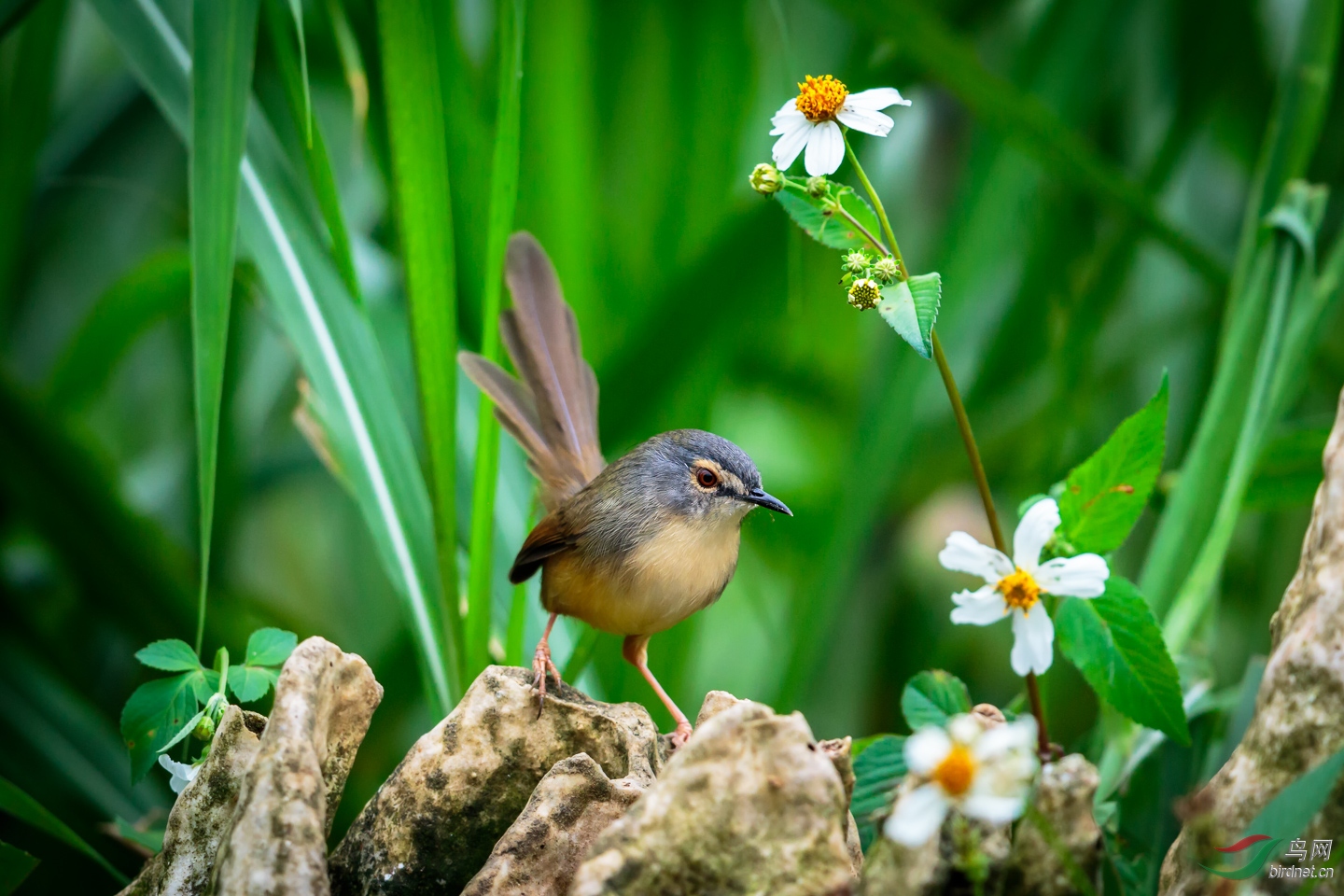 EOS 7D Mark II_20181117__Z4A7189-PS.jpg