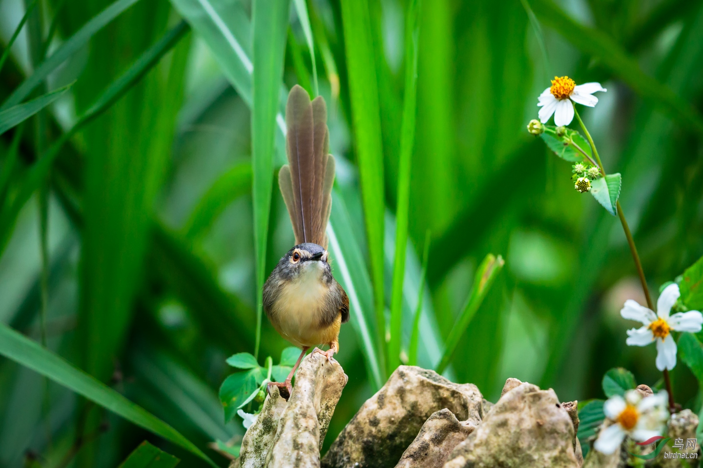 EOS 7D Mark II_20181117__Z4A7195-PS.jpg