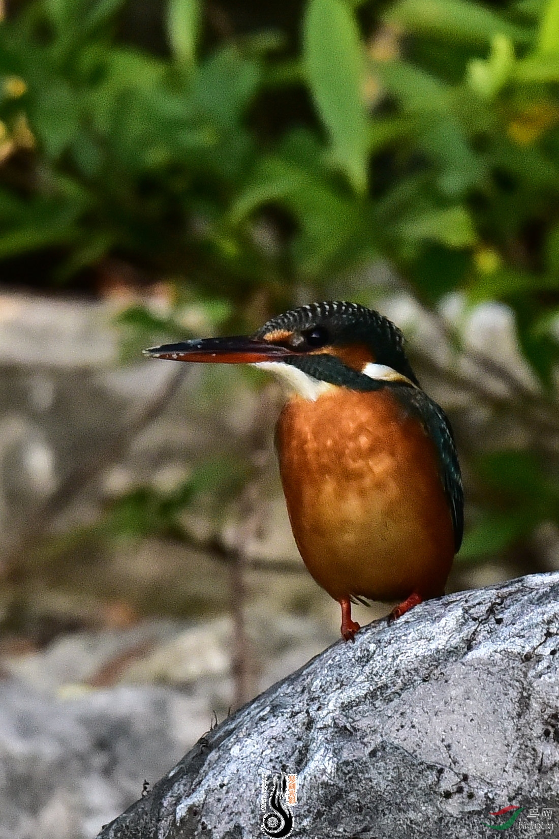DSC_0864.JPG