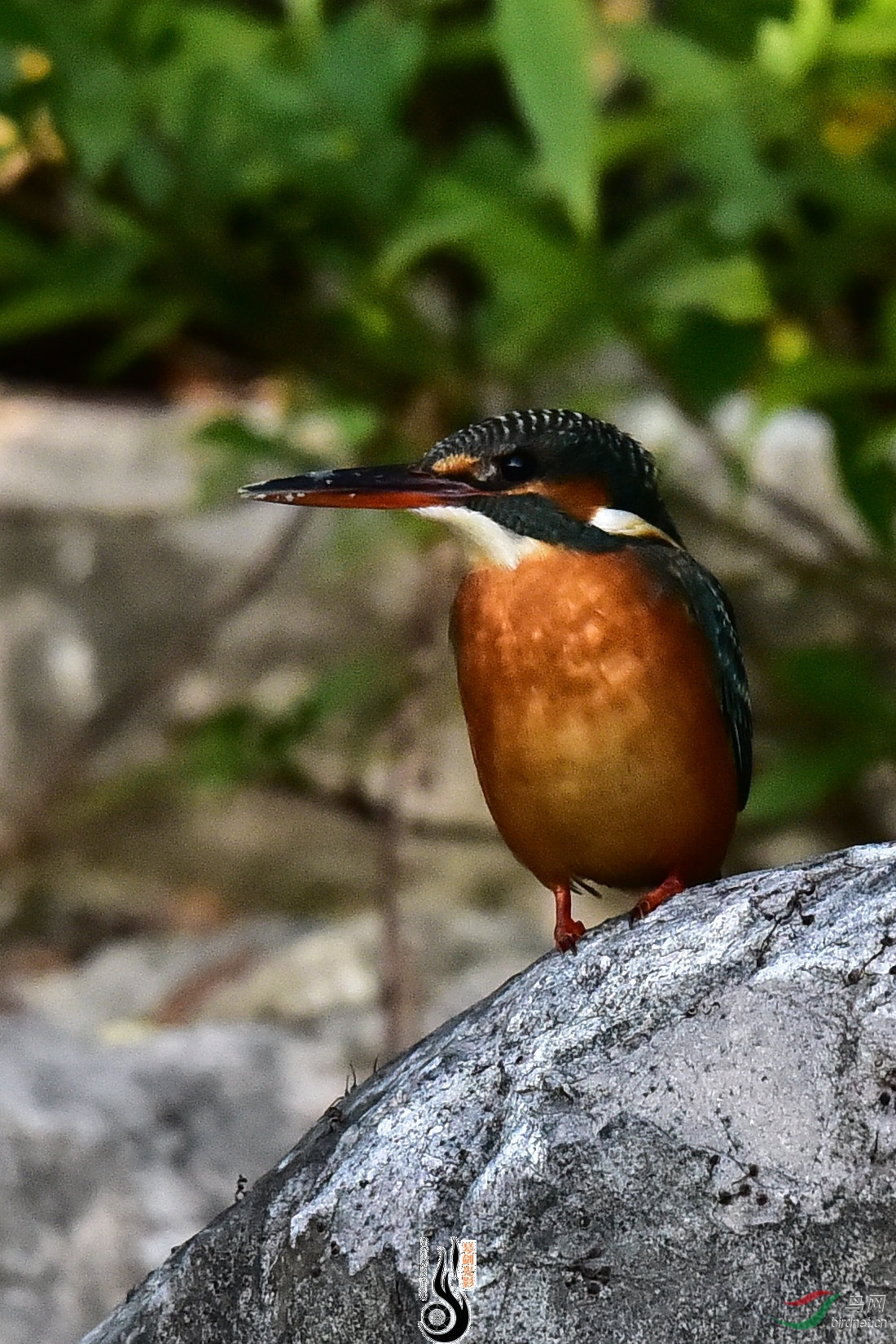 DSC_0865.JPG