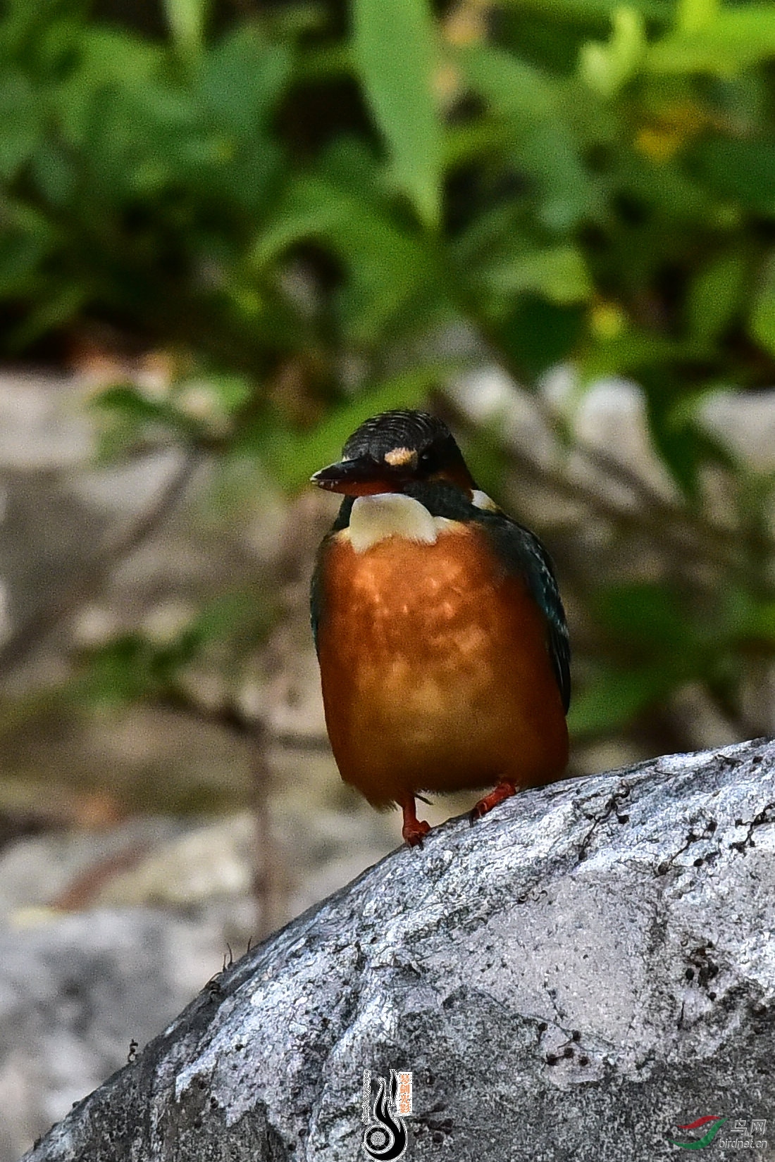 DSC_0866.JPG