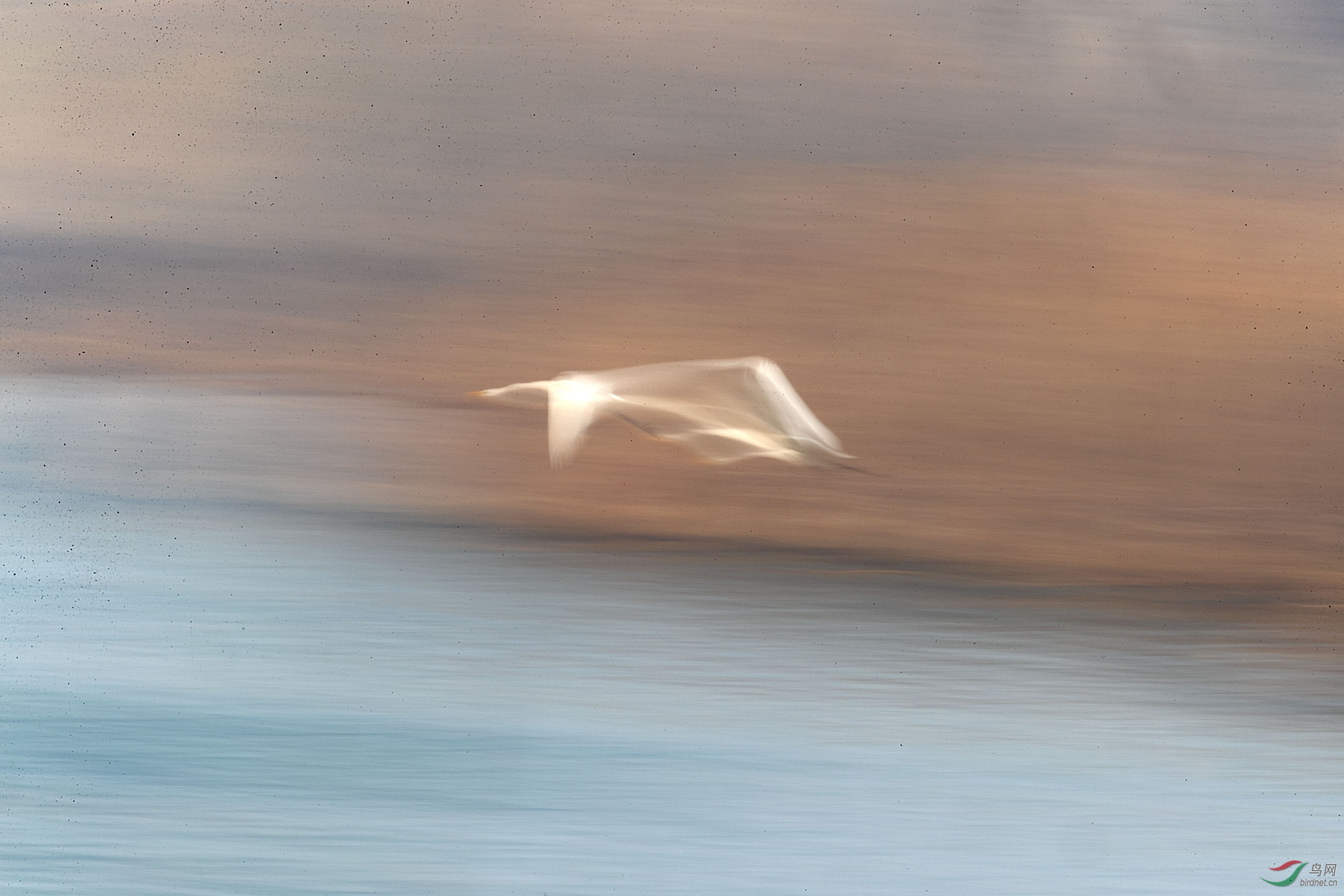_18I8244.jpg