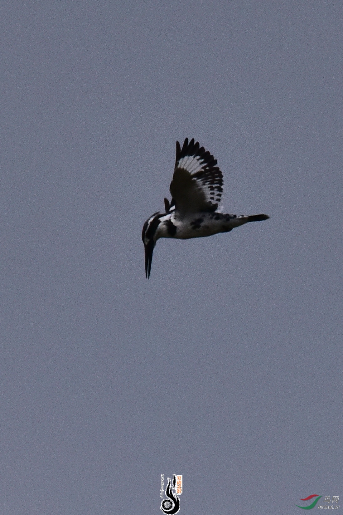DSC_0870.JPG