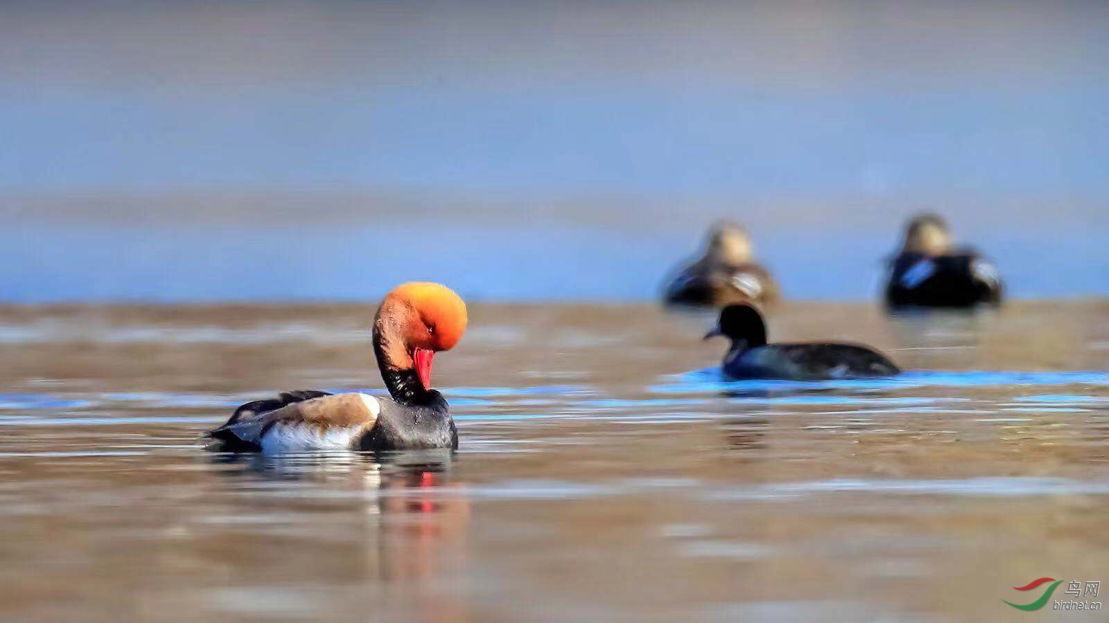 _201812181438101 (7).jpg