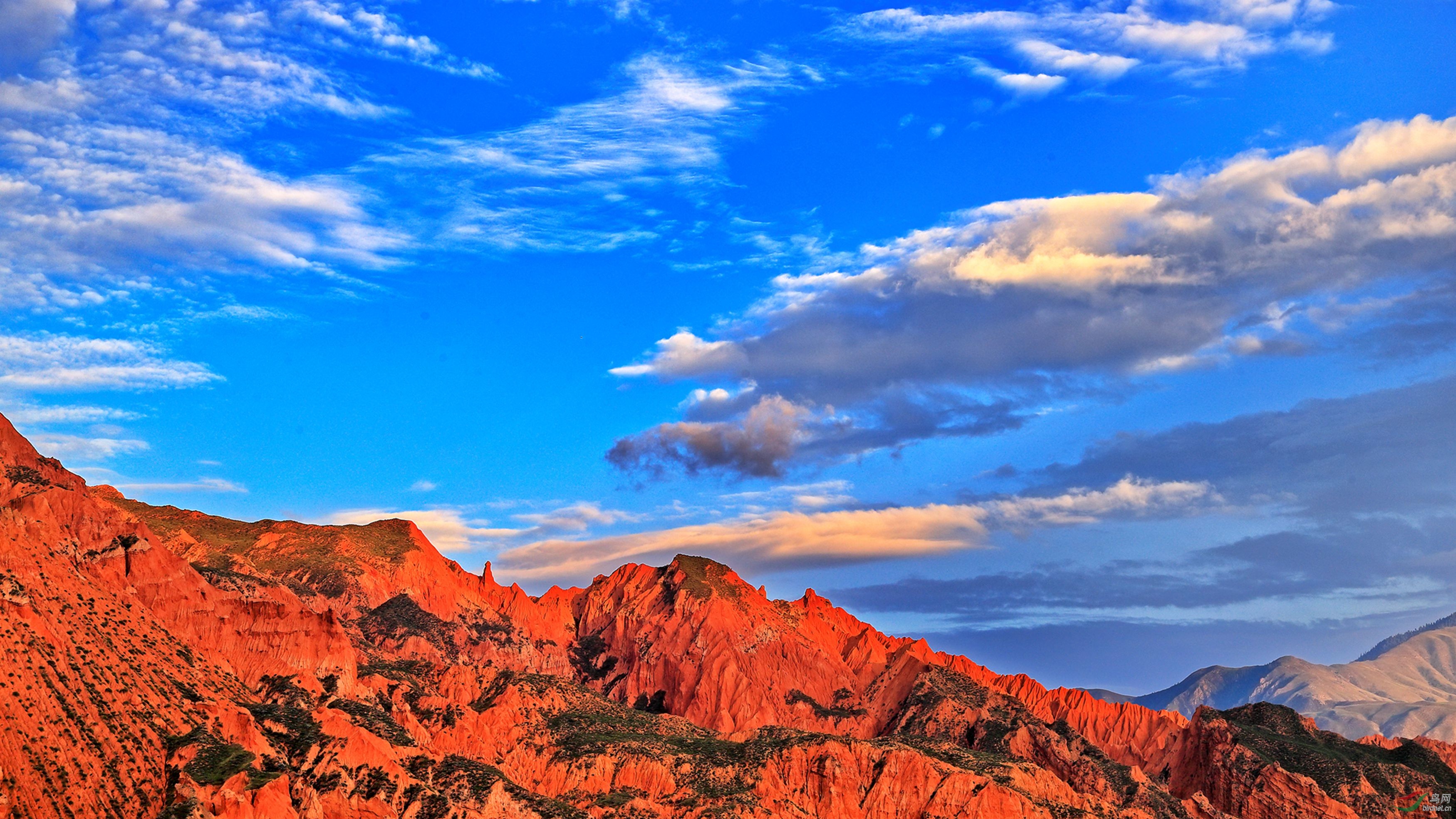 _S9I4826  (2)_����.jpg