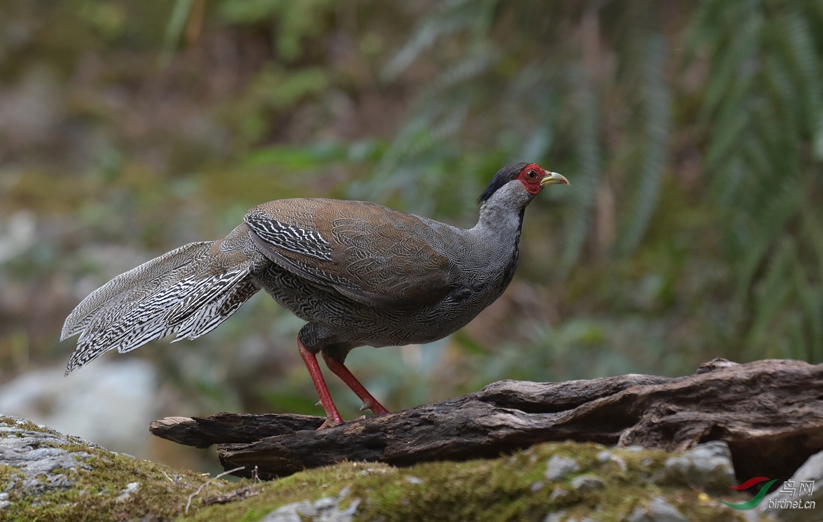 D72_3065.jpg