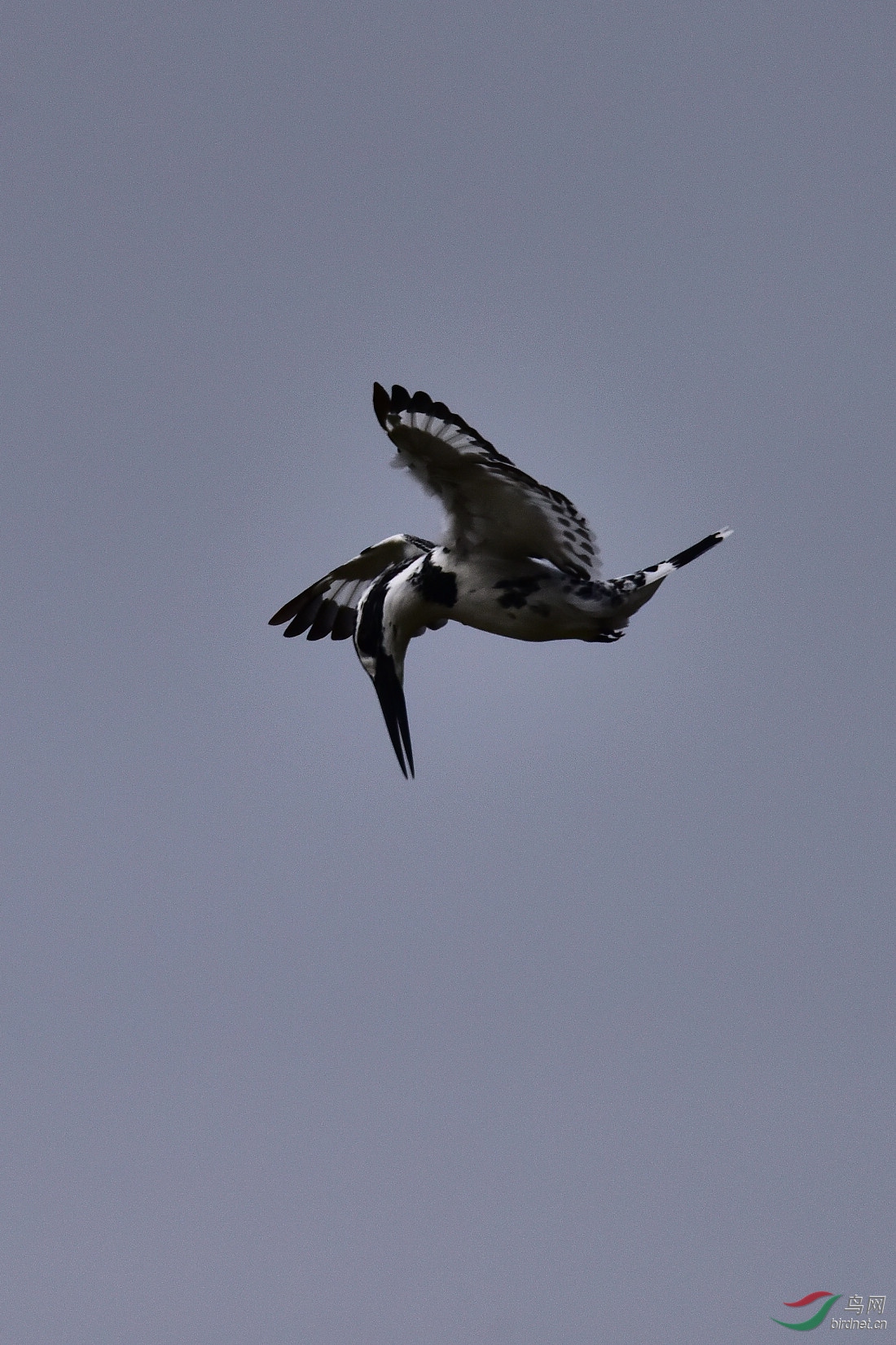 DSC_0883.JPG