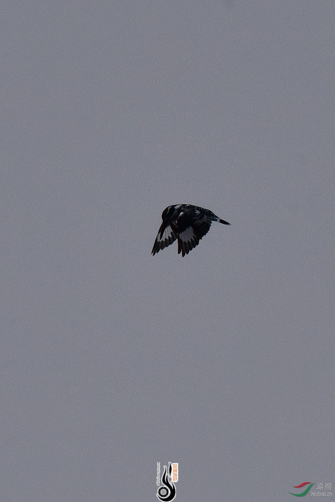DSC_0884.JPG