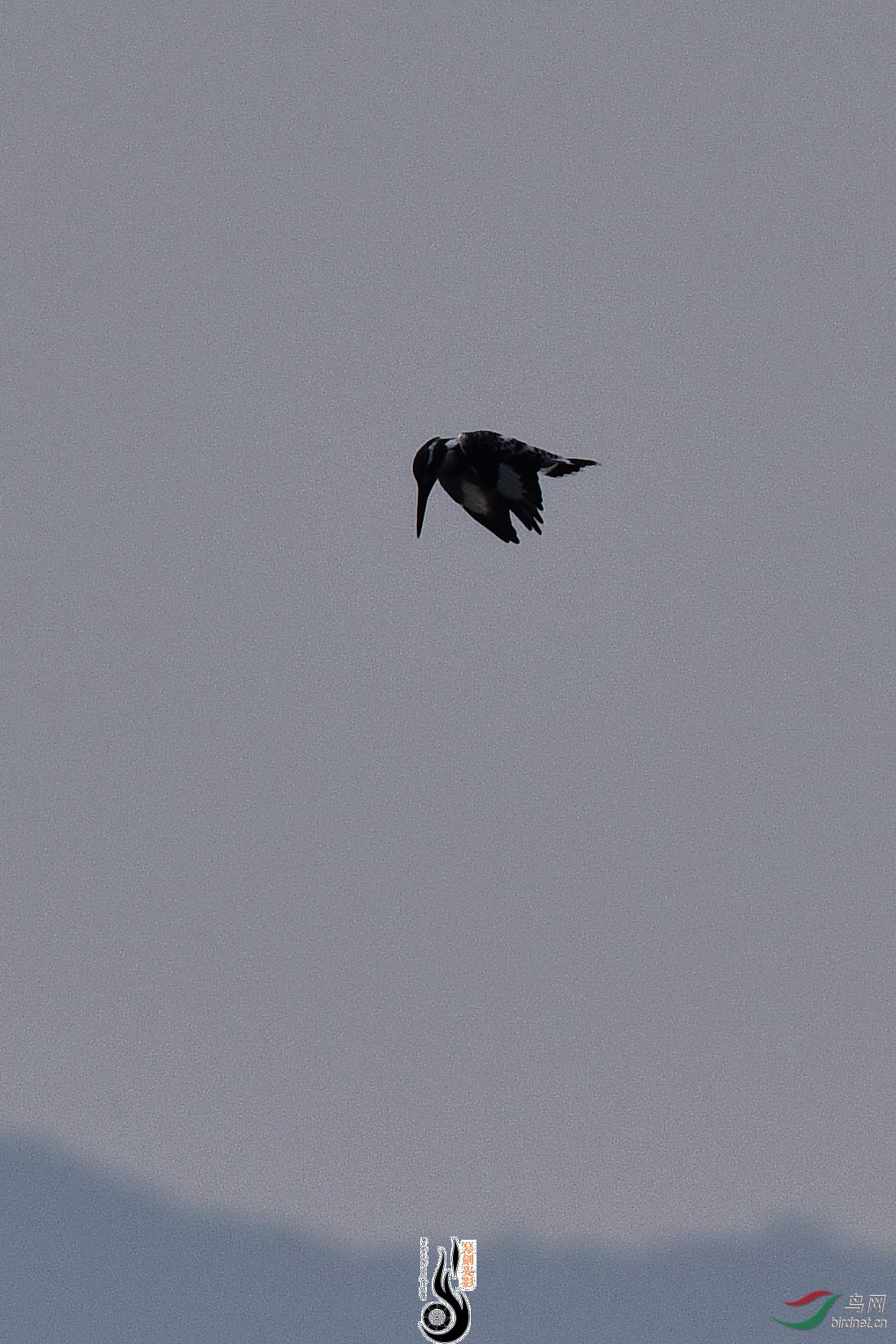 DSC_0888.JPG